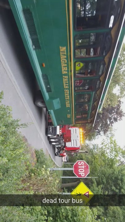 Niagara Frontier Transit Metro System - Sideways but worth it. It's dead, Jim. - Public Transportation Near Me - Buffalo, New York