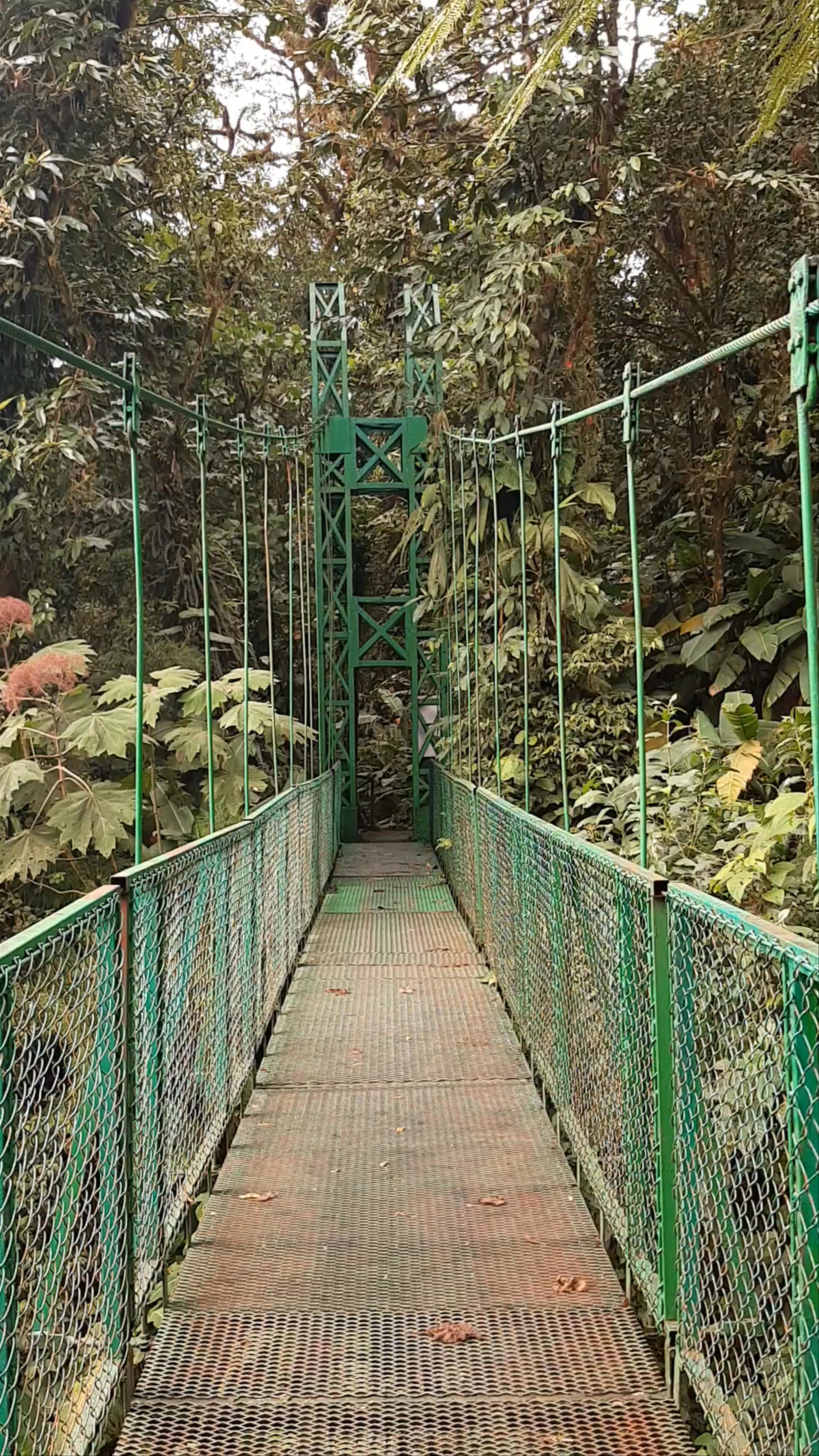 Sky Adventures Monteverde Park
