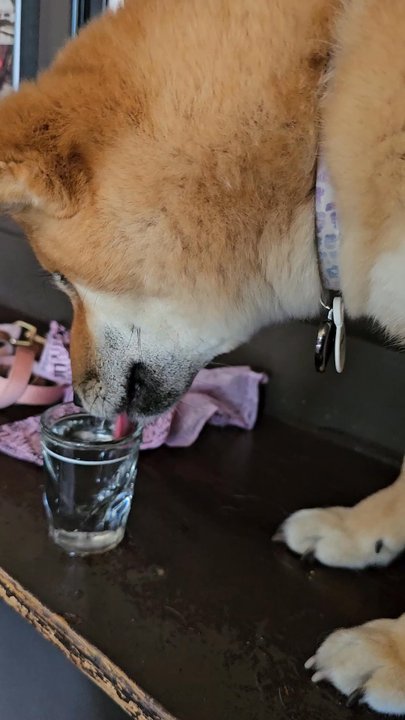 The Original Pinkie Masters - Ahh vodka ! - Pubs Near Me - Savannah, Georgia