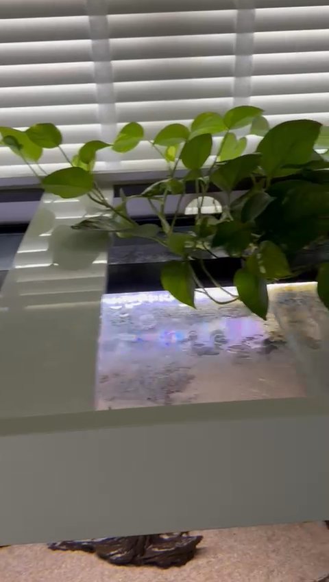 ND Aquatics tank