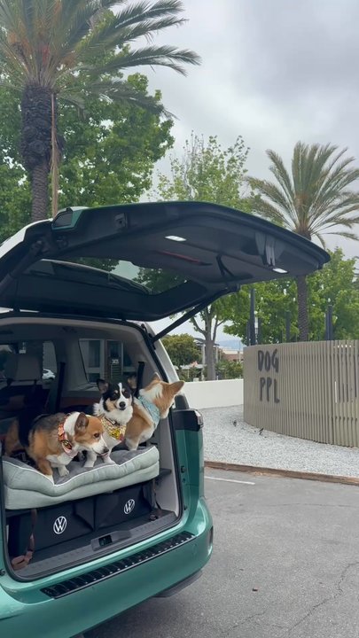 DOG PPL - Dog Parks Near Me - Santa Monica, California