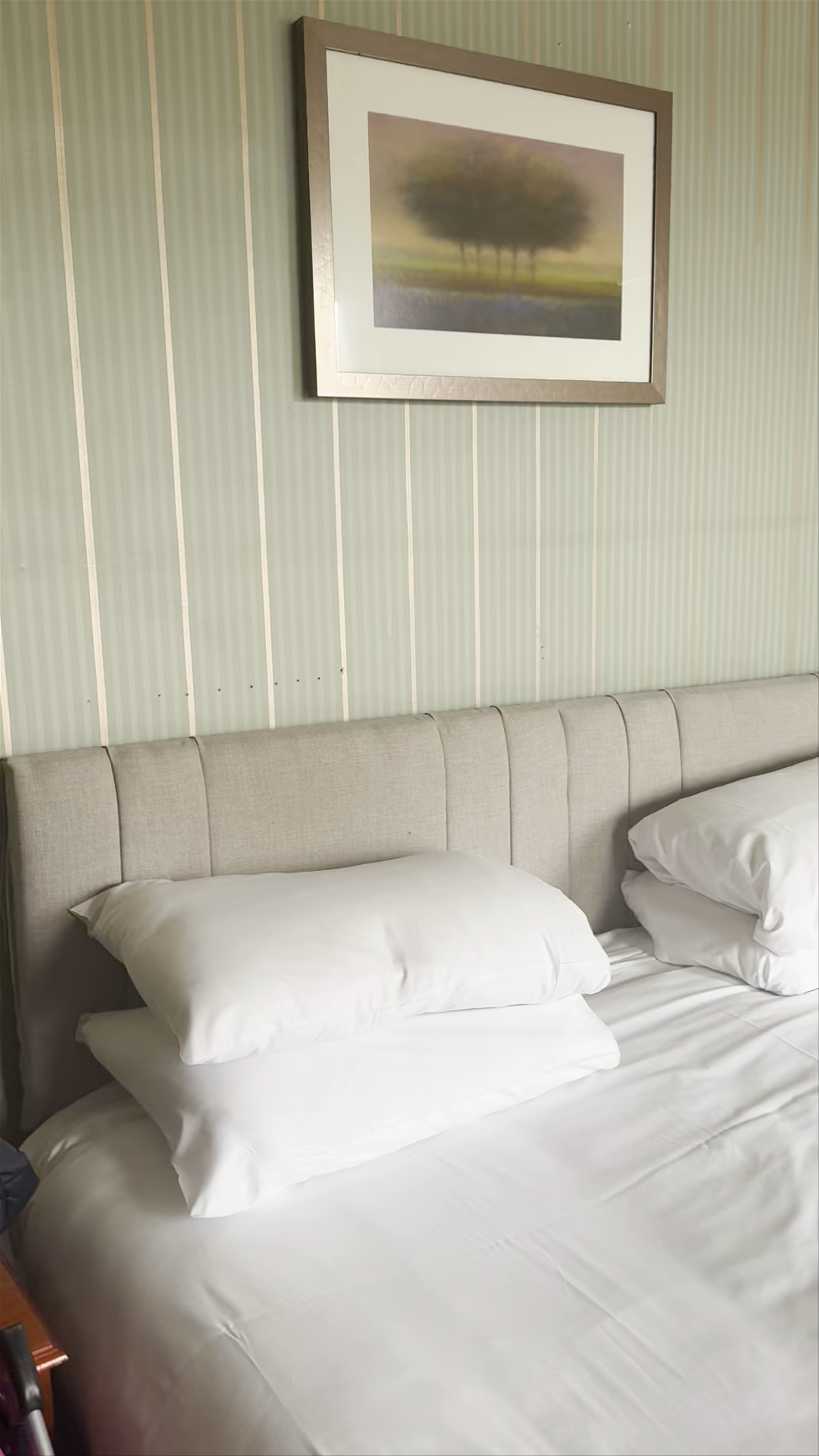 Cozy Comforts at The George Hotel and Bar, Penrith