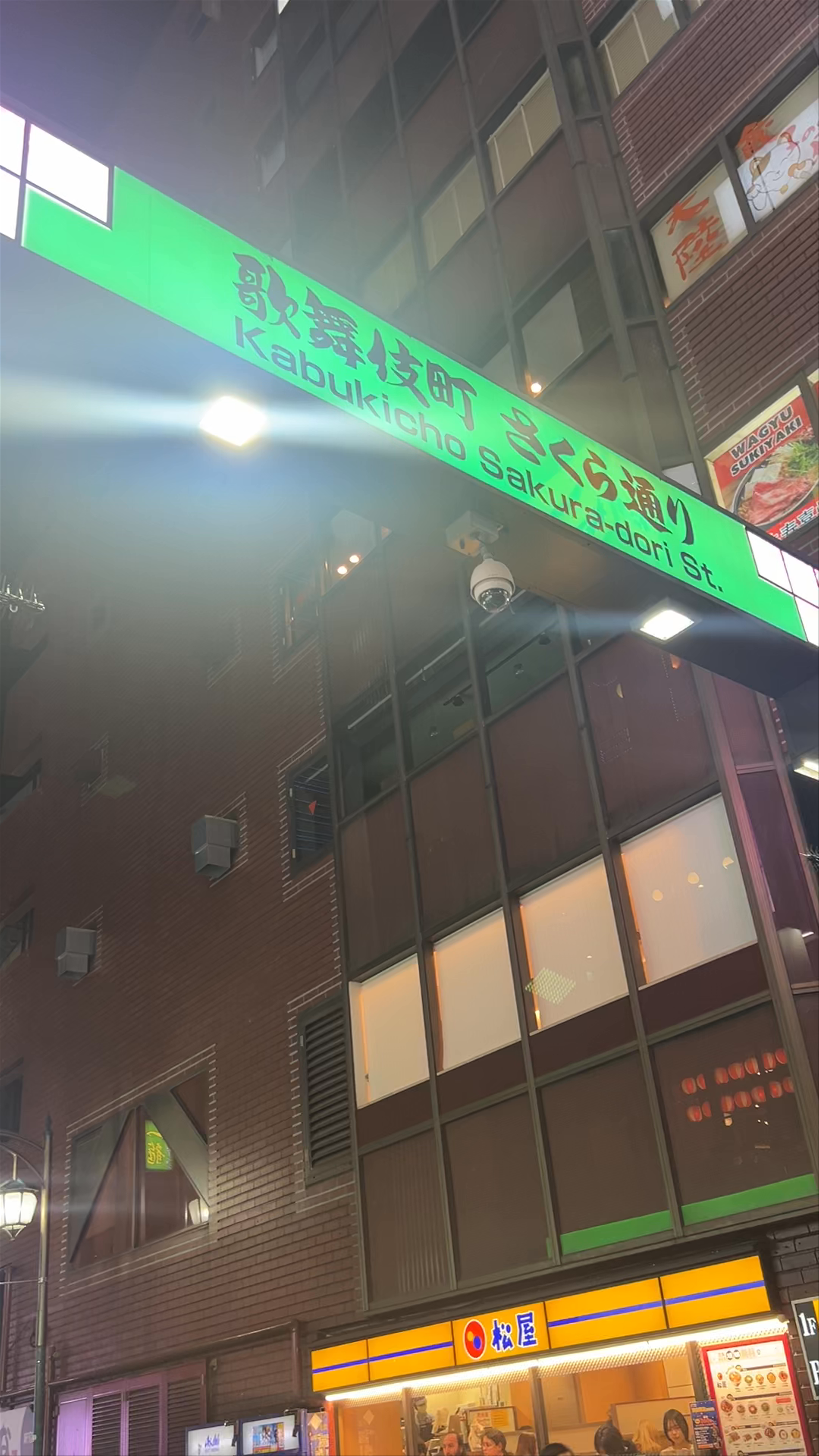 Nightlife Vibrance in Kabukicho, Shinjuku - Tokyo's Iconic Entertainment Hub