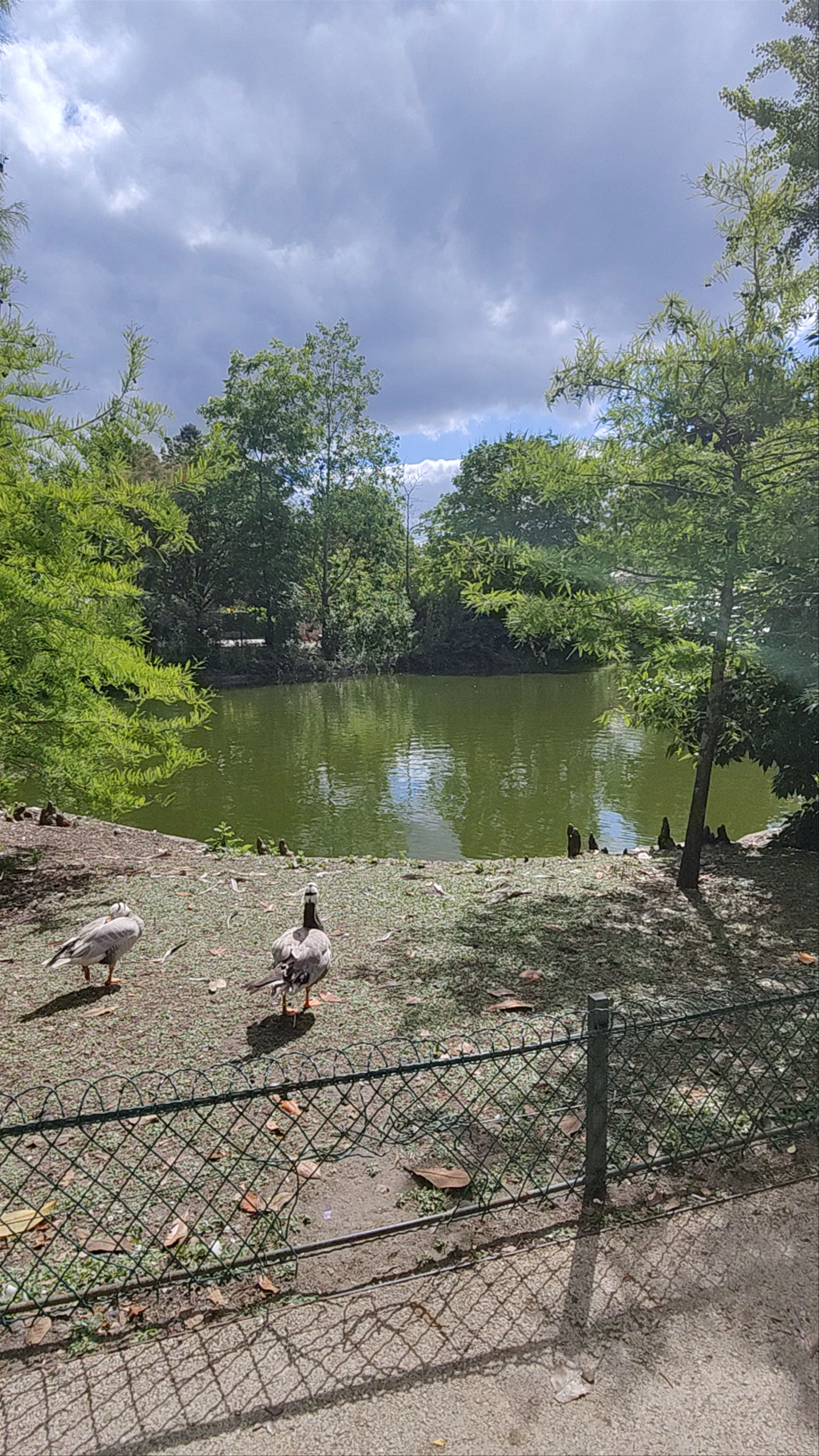 Jardin Public