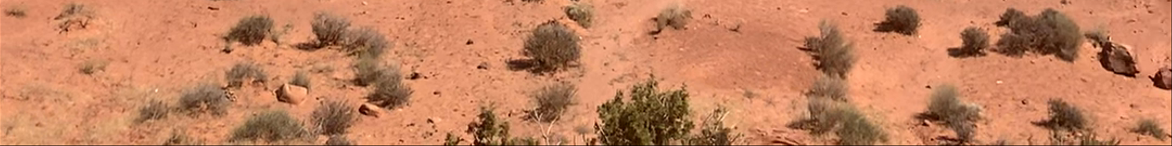Tours & experiences in Kayenta