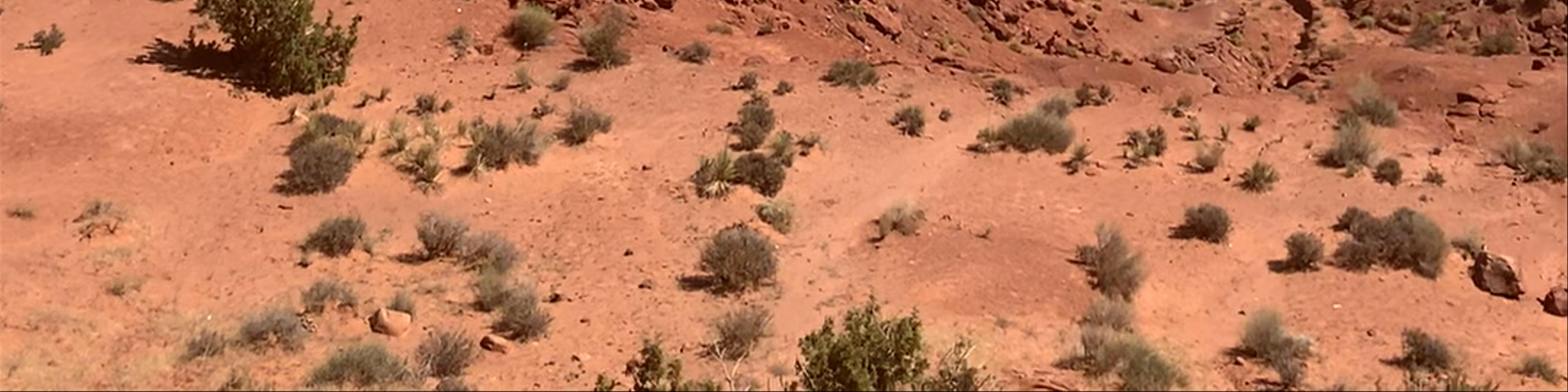 Kayenta