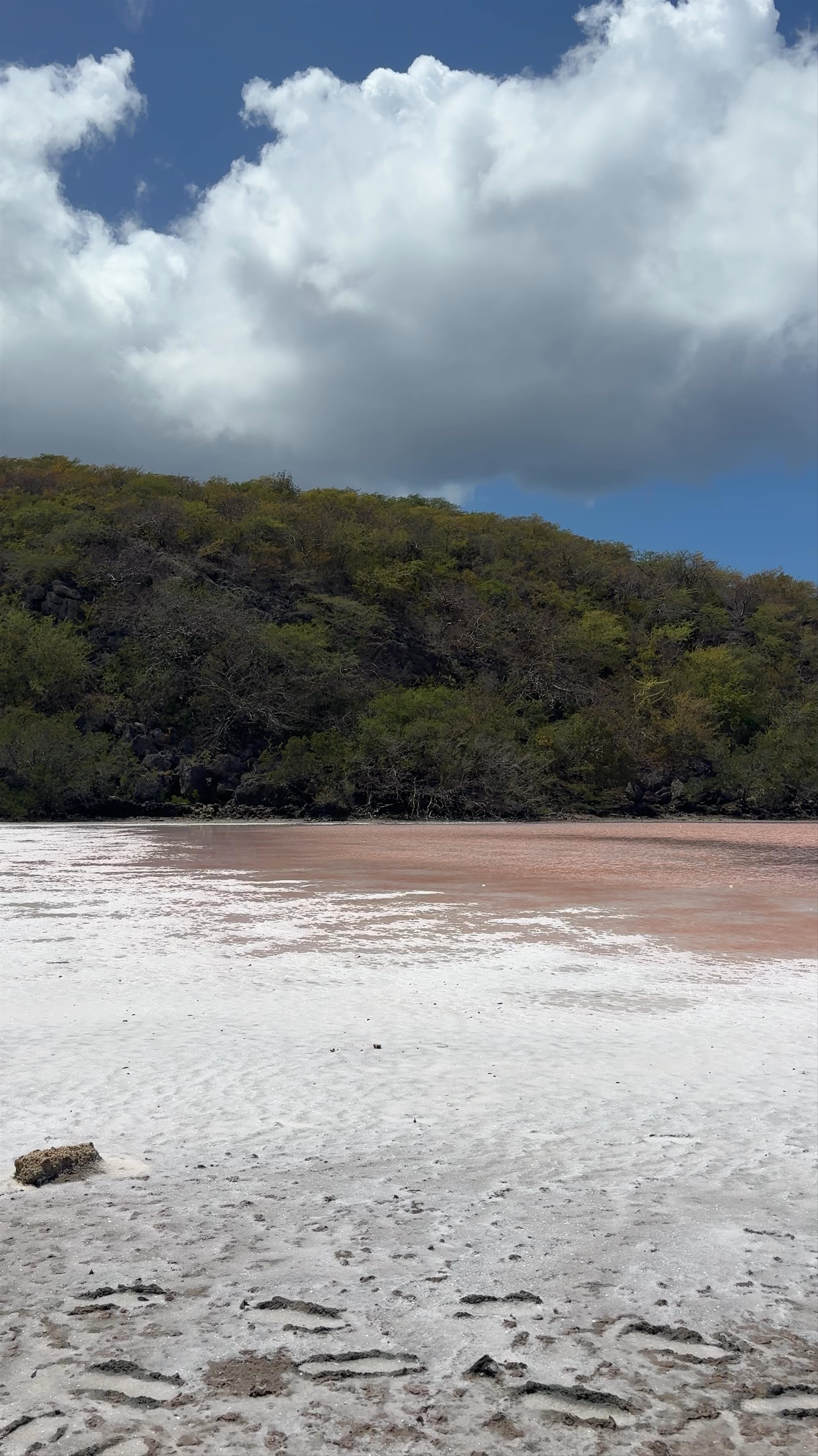 Soutpan van de Ingeseetenen