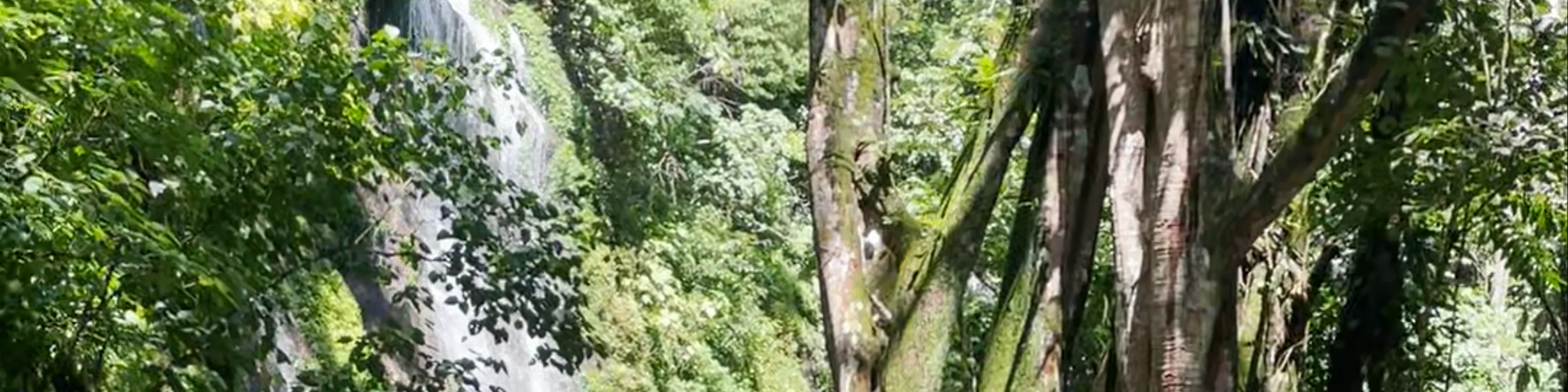 7 cascadas juayua
