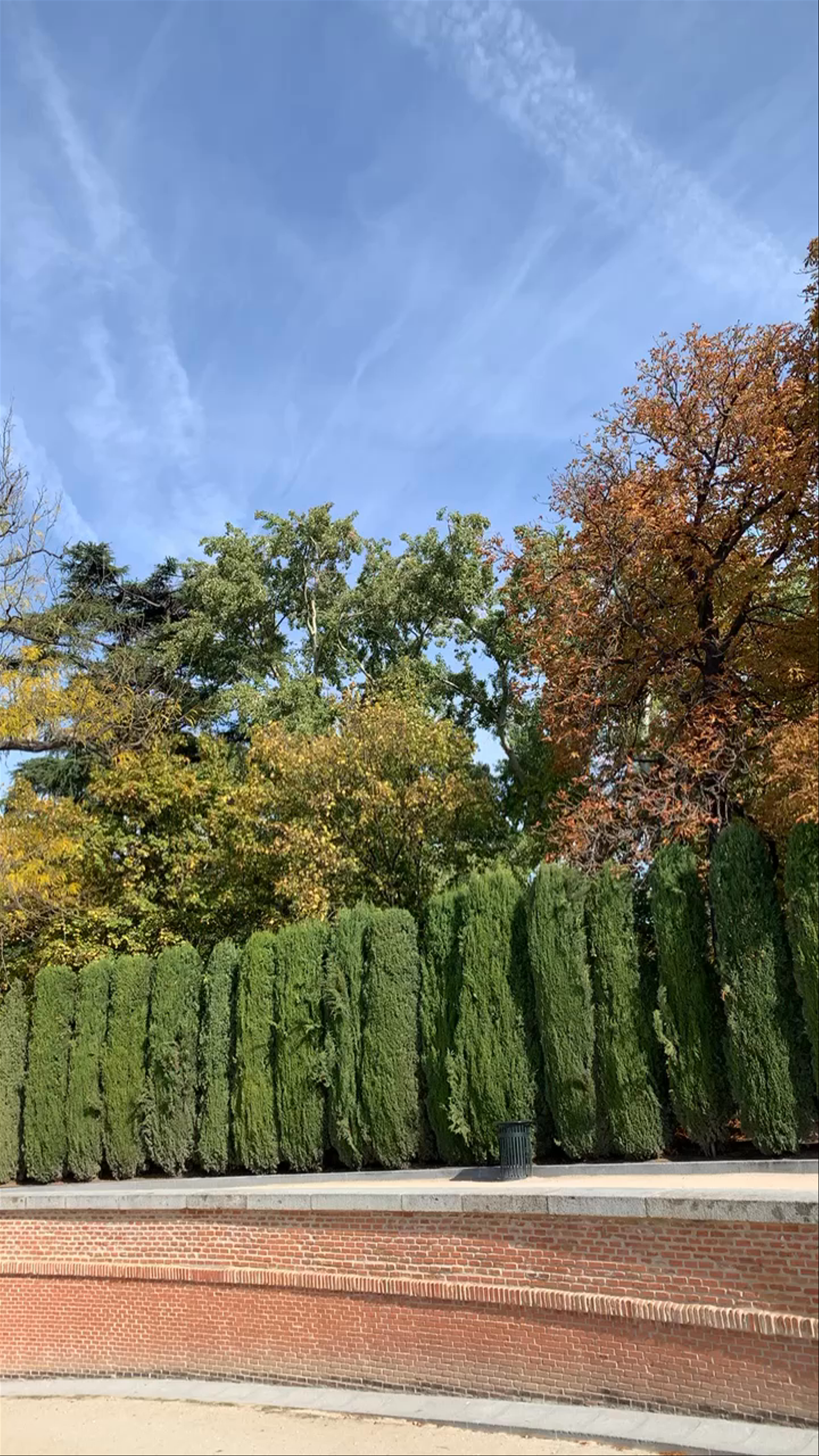 Jardines del Retiro: A Serene Autumn Escape in Madrid