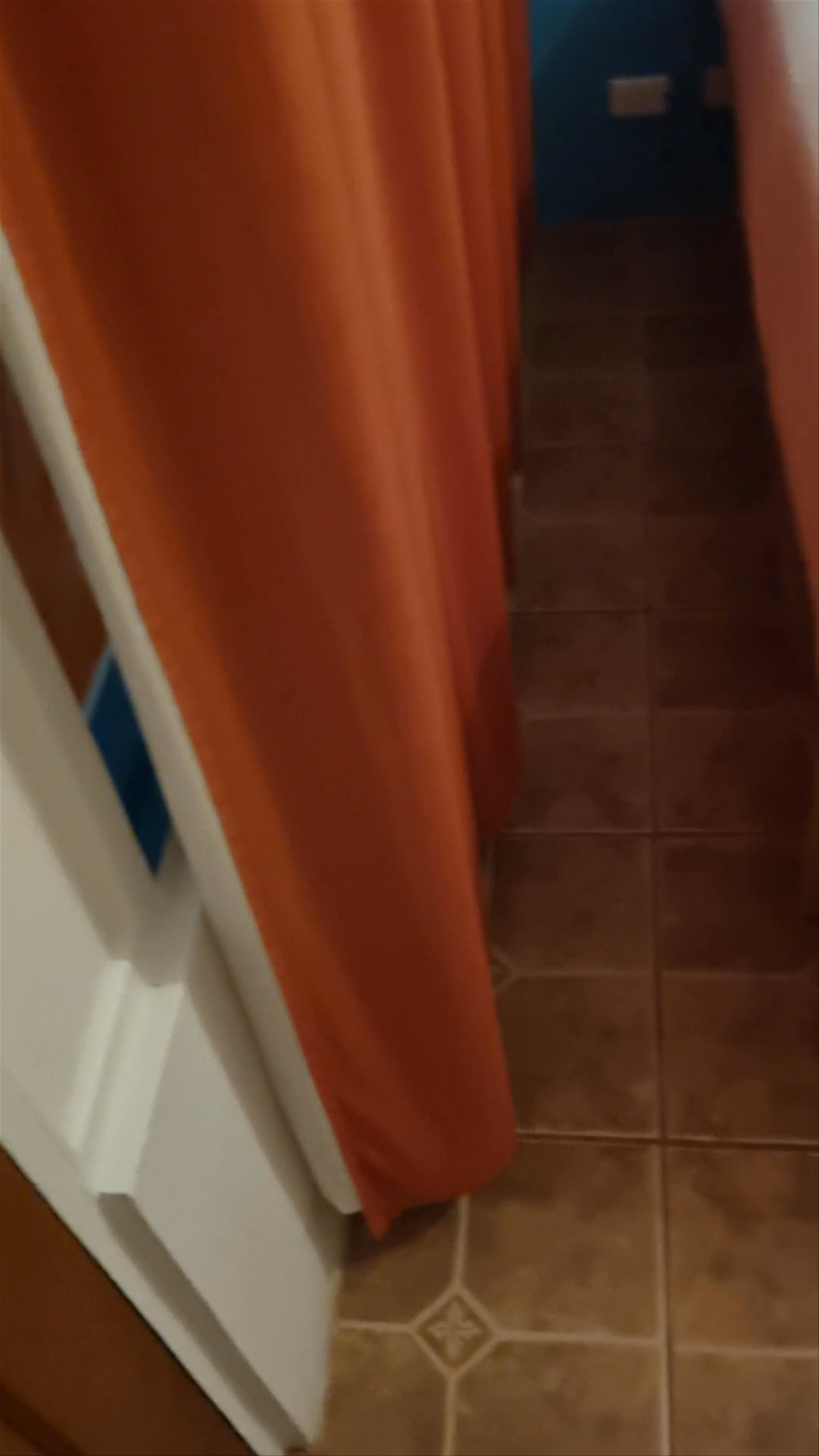 Bird of Paradise Hotel