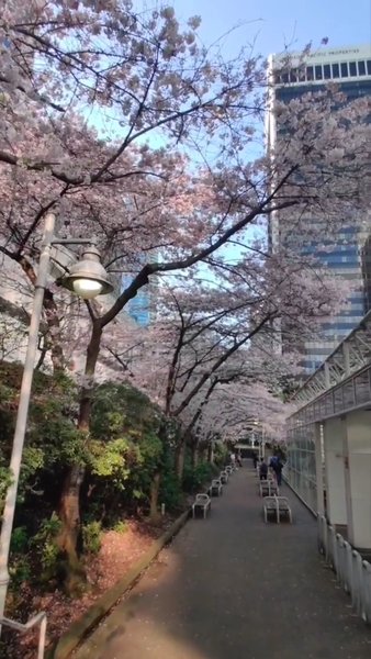 Photo of Most Beautiful Metro