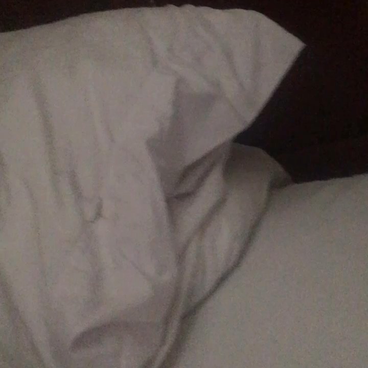 Walk Away Stays - This is me sitting up and sitting back down on the bed.....how are adults supposed to get a good night sleep with this loud frame?! - Property Management Near Me - Charleston, South Carolina