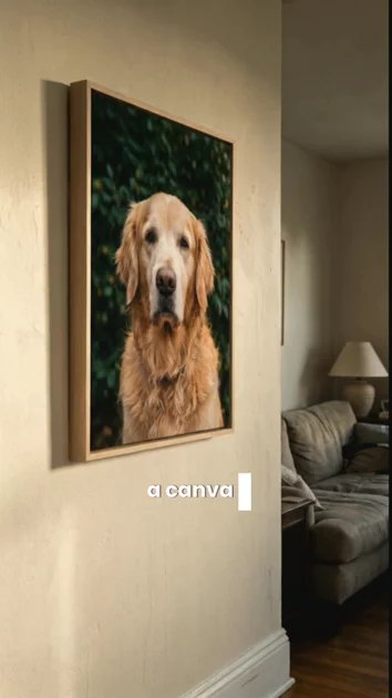 Pet Moment Keepsake Collection | Commercial