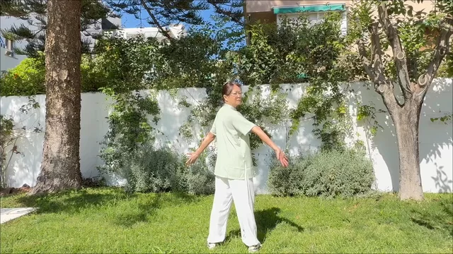 Ba Duan Jin practice explained