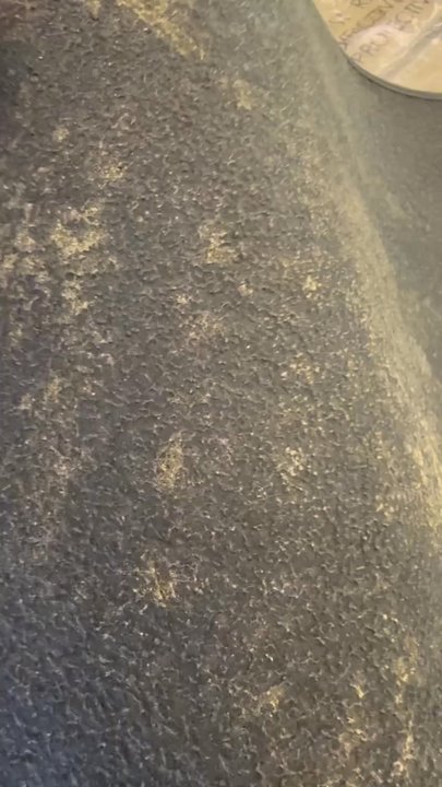 Acme Auto Detail - Auto Detailing Near Me - Park, Washington