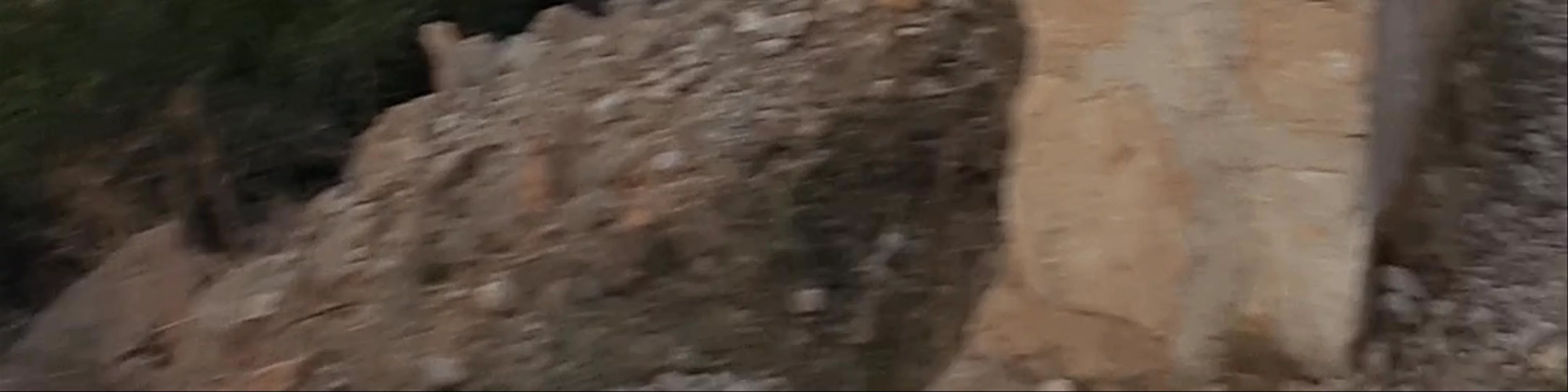 Montgó