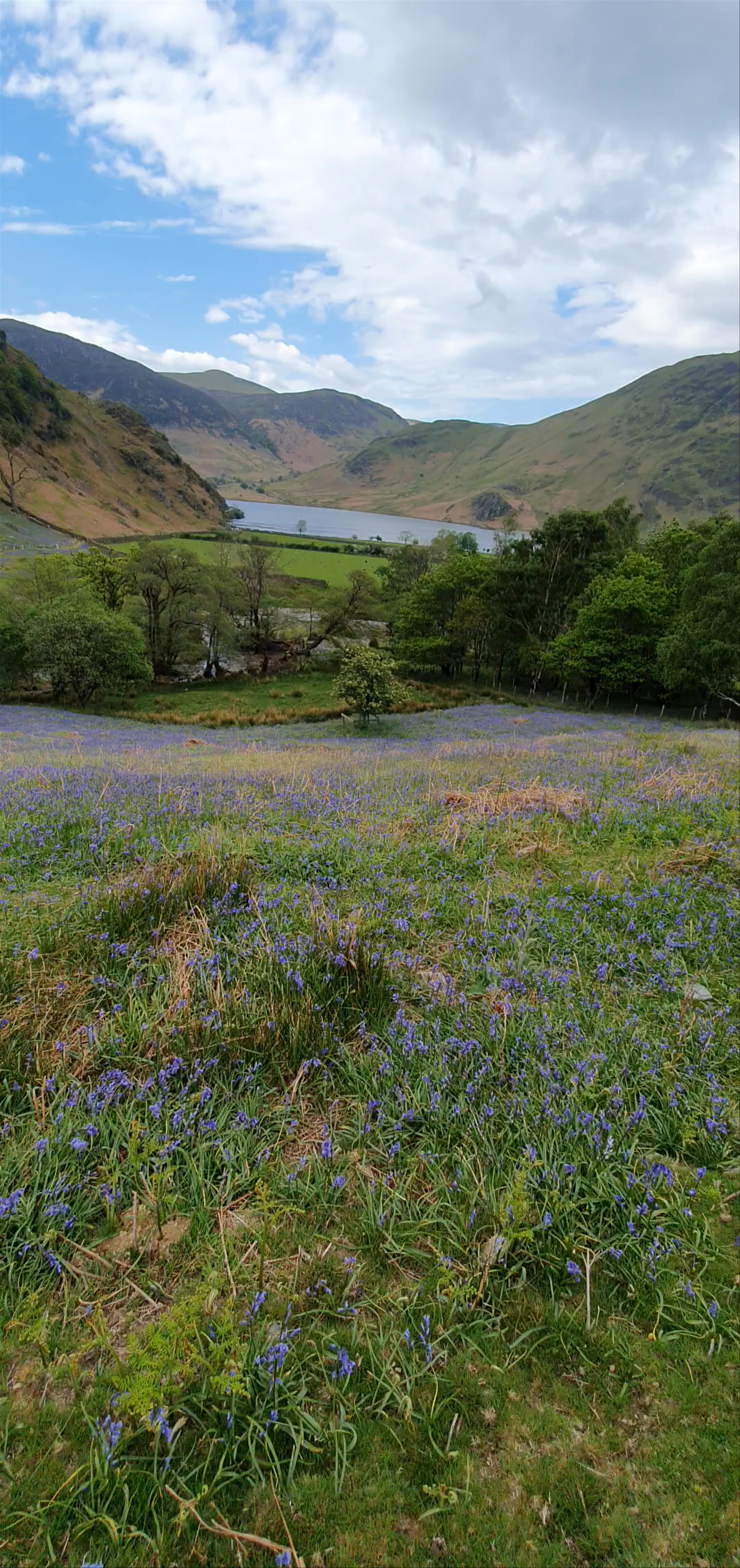 Rannerdale Knott