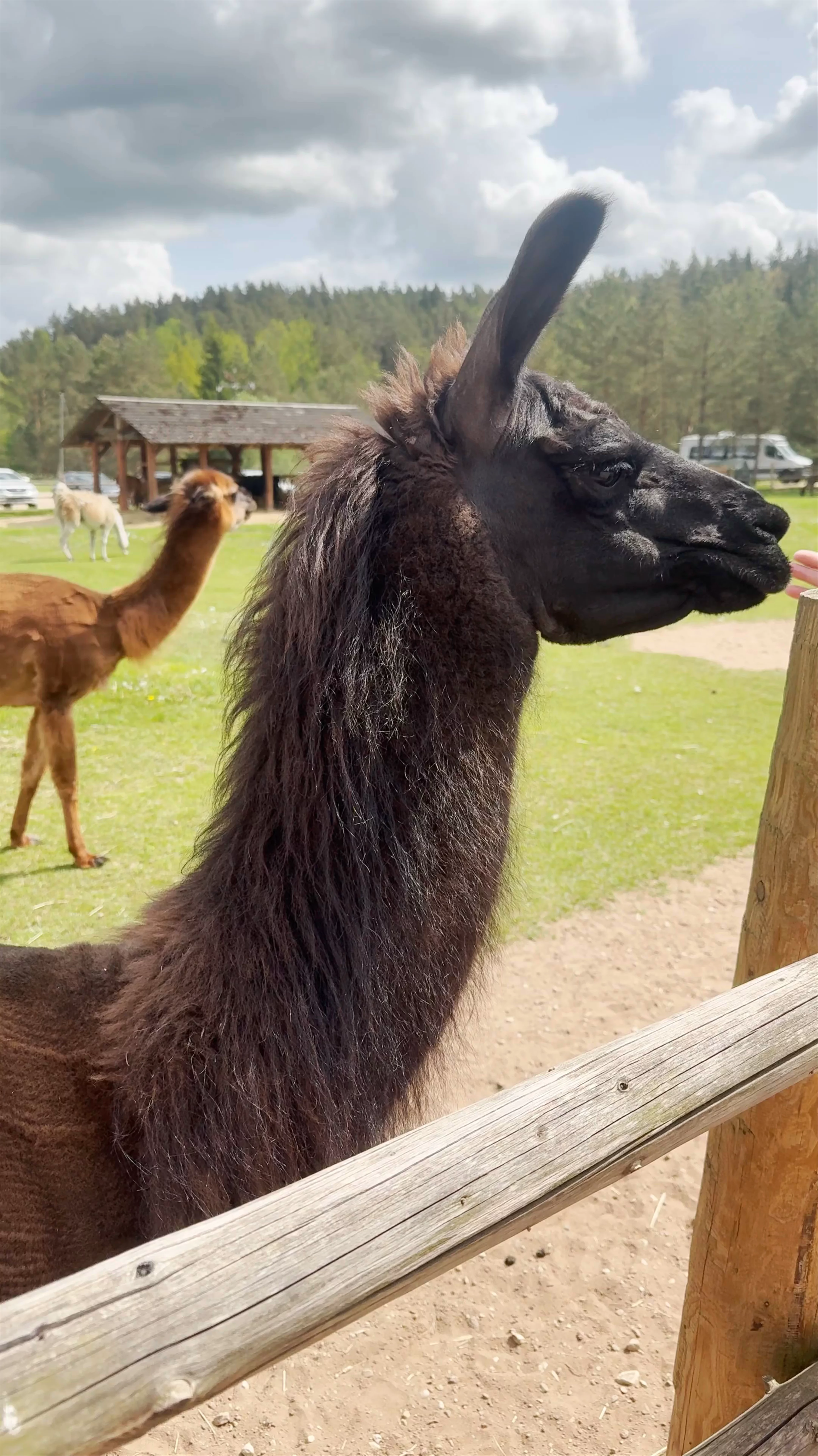 Rakši ZOO