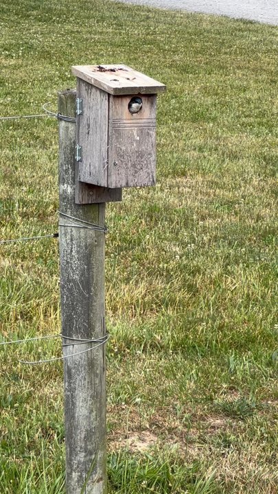 Buttonwood Campground - Campgrounds Near Me - Mifflintown, Pennsylvania