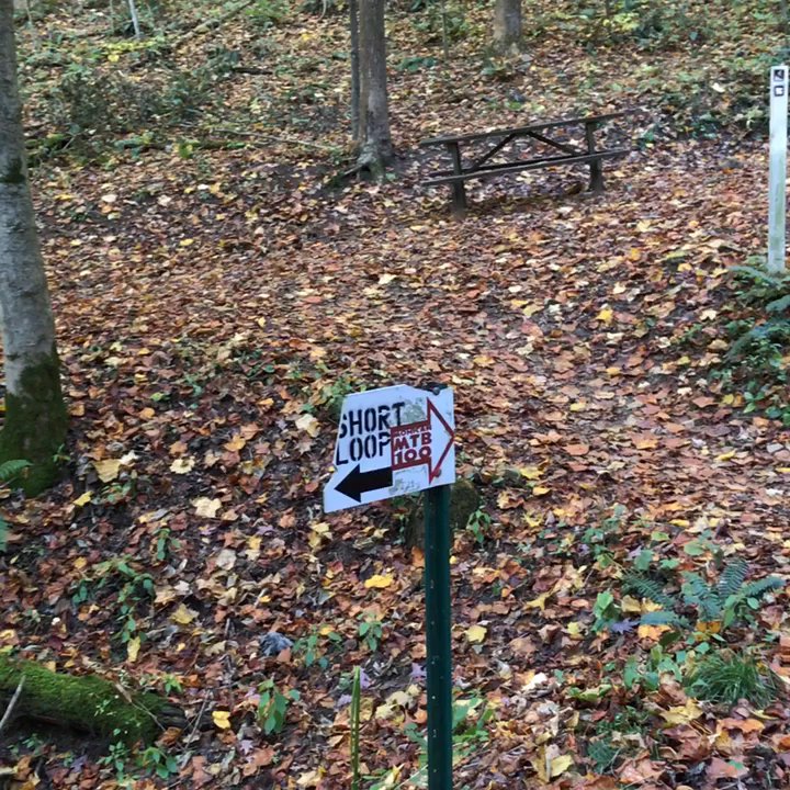 Mohican State Park - Hiking Near Me - Loudonville, Ohio