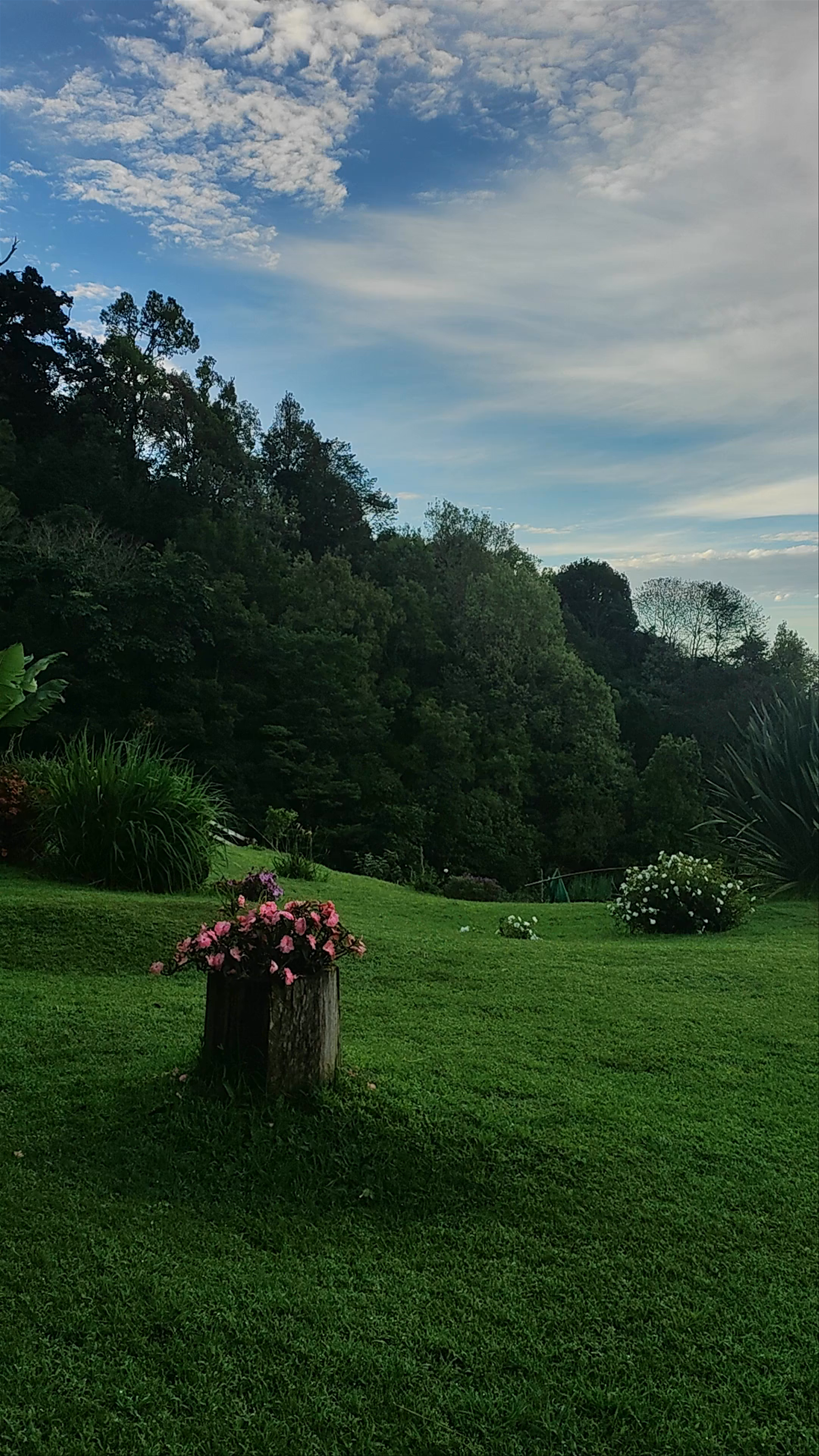 La Chiripa: Serene Countryside Escape in San Pedro, Costa Rica