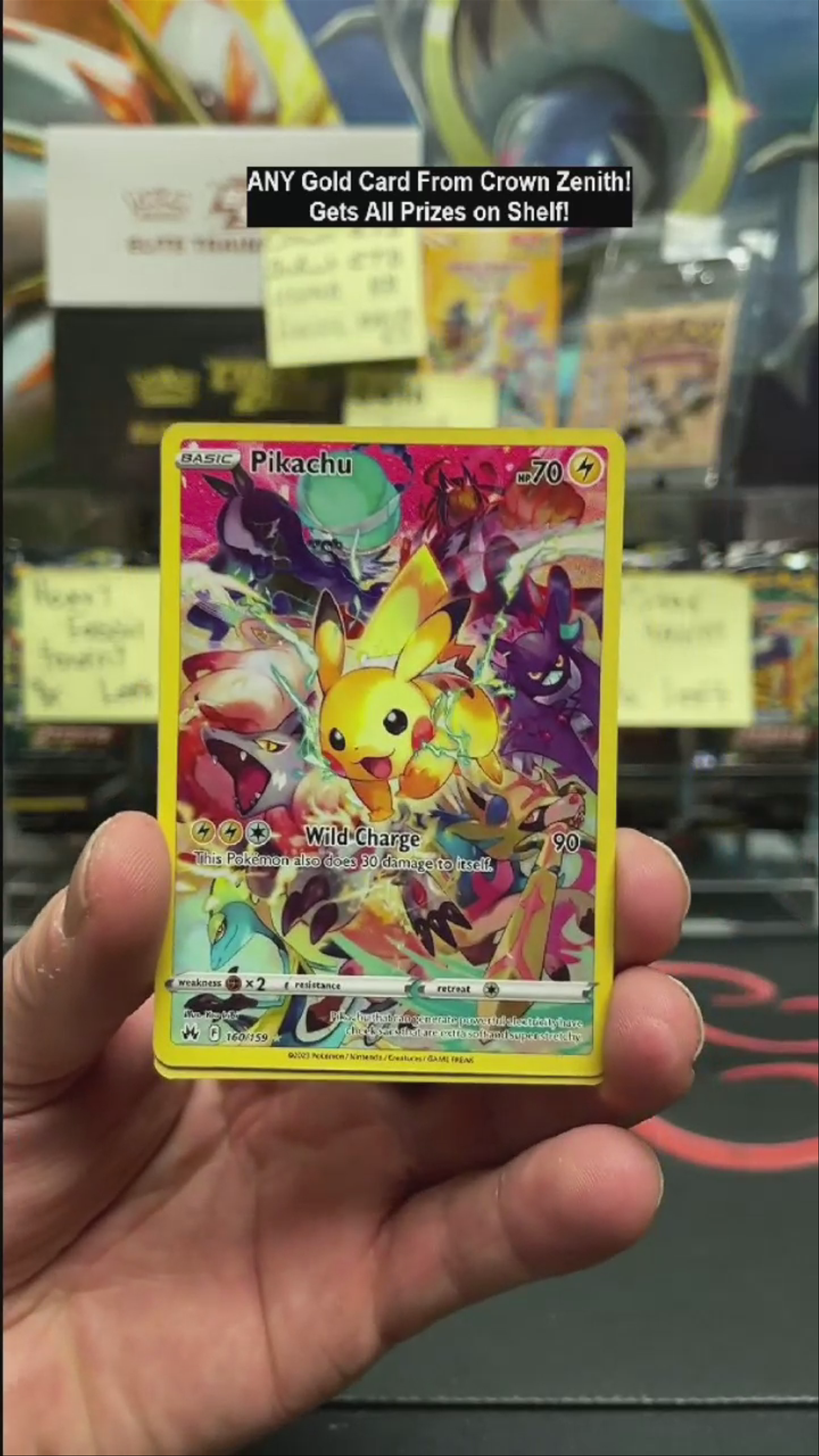 Pika!!!!