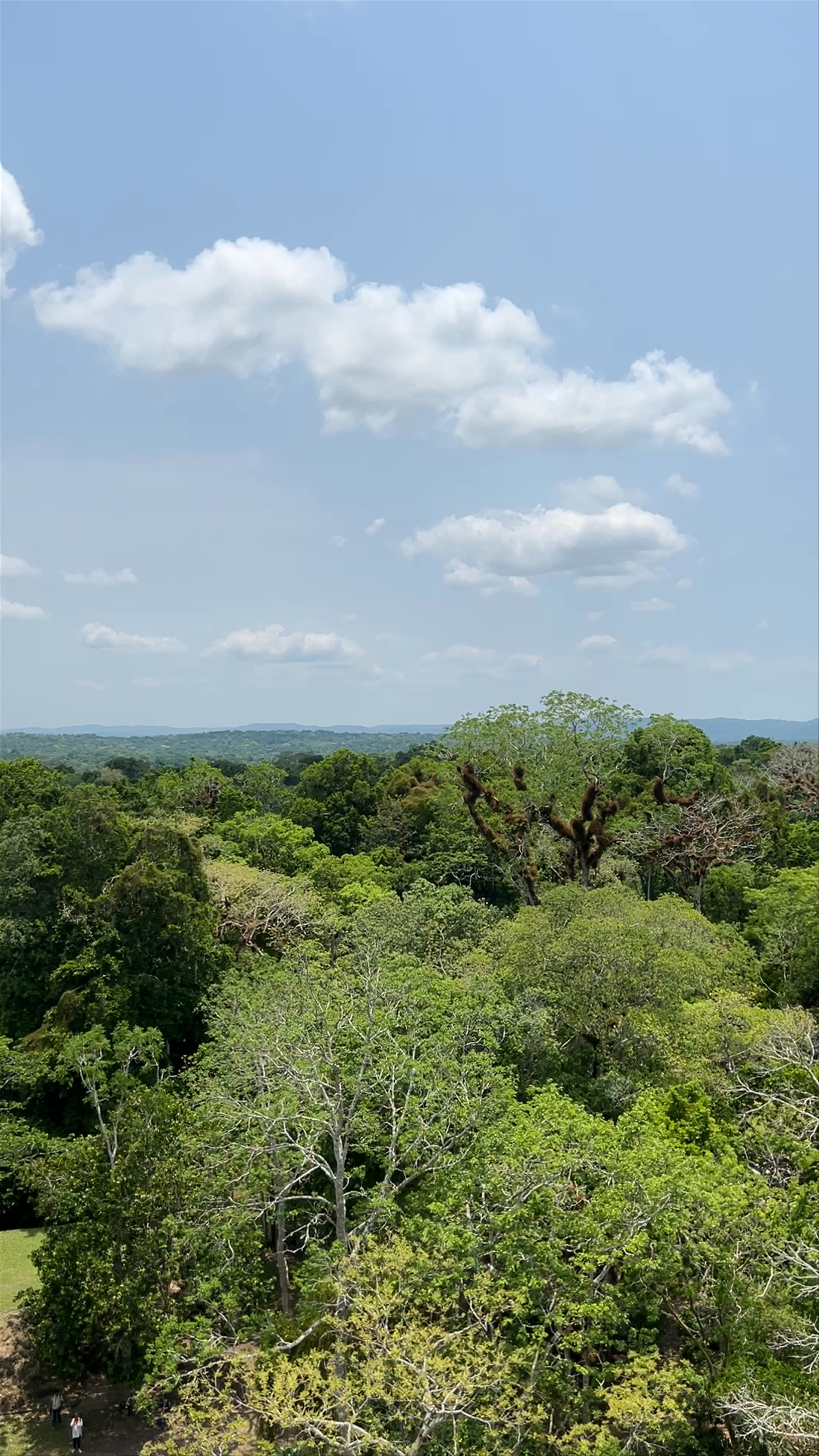 Tikal National Park