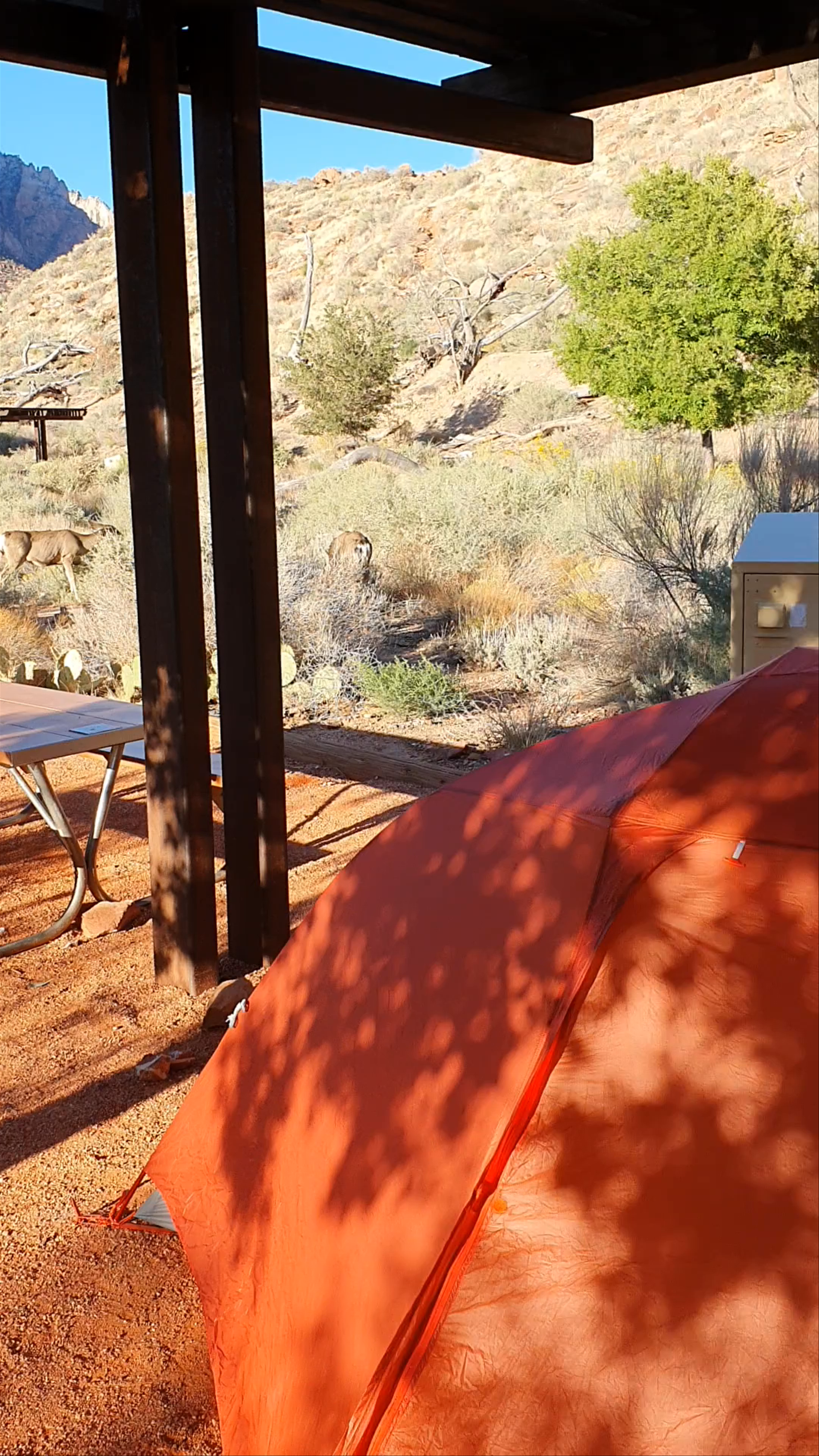 Watchman Campground