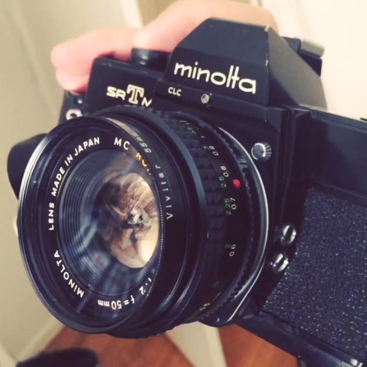 Camera Max - Working beautifully thanks to this place. - Photography Stores & Services Near Me - Montrose, California