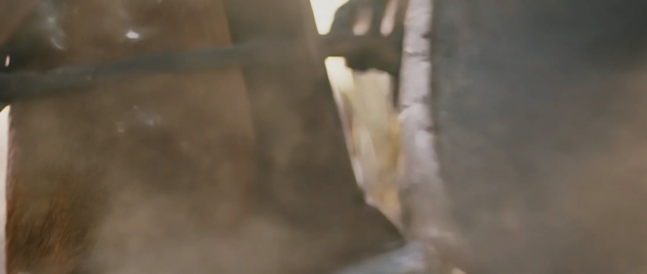 Happy Horse AI Video Generator image 1