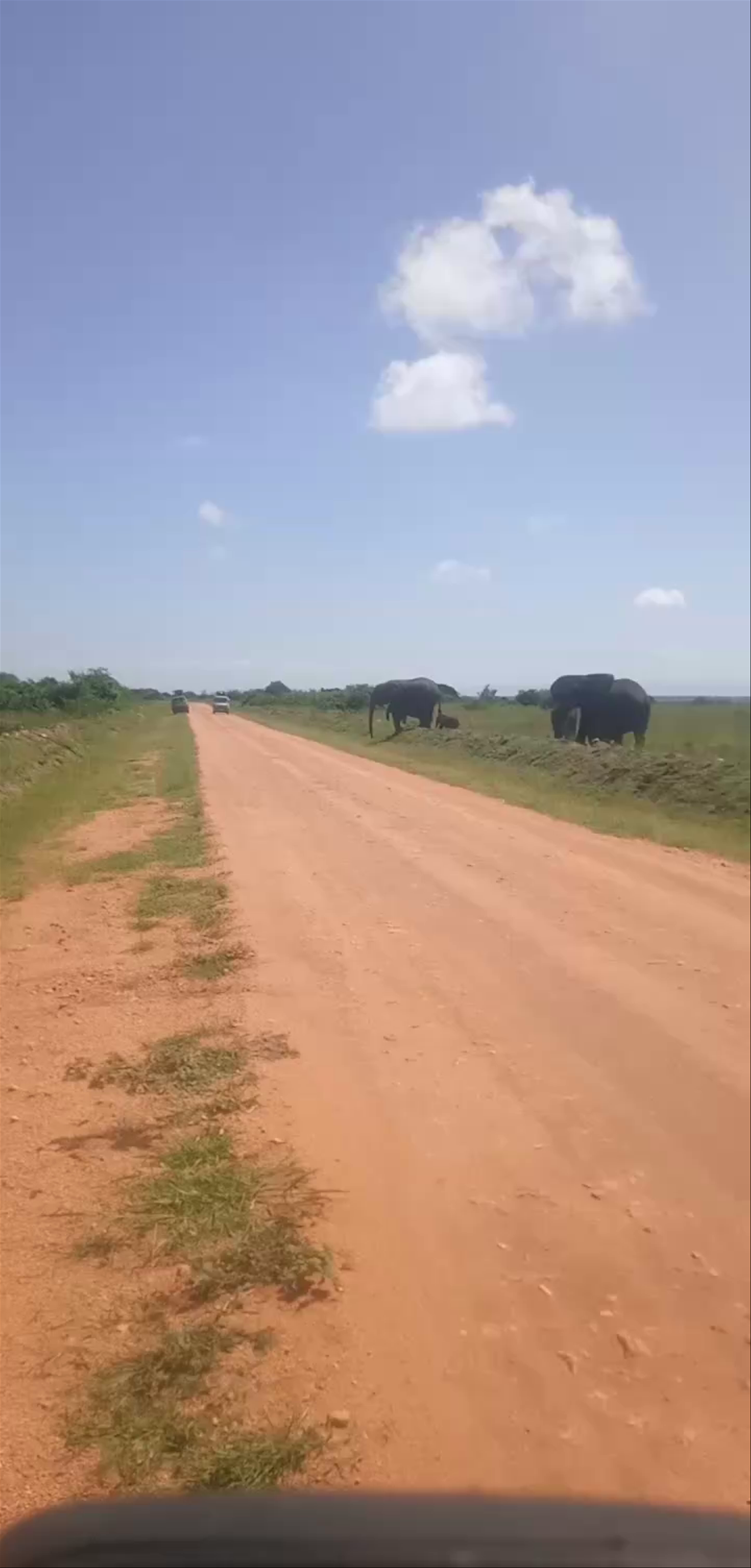 Queen Elizabeth National Park