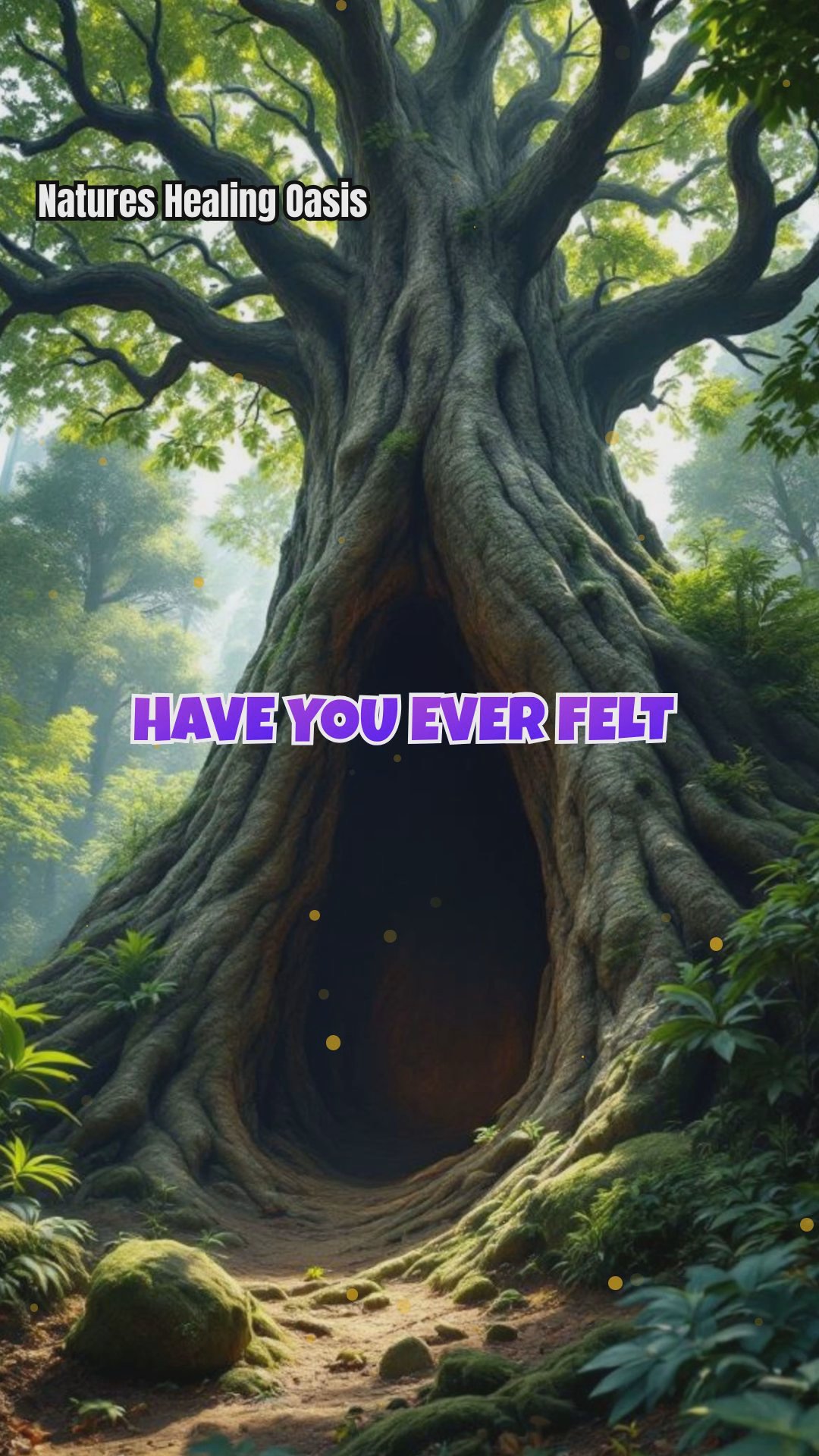 Tree Hollows: Nature’s Secret Spaces for Reflection and Release