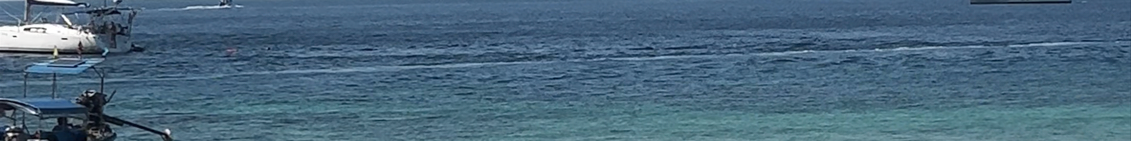 Tours & experiences in Phi Phi Don