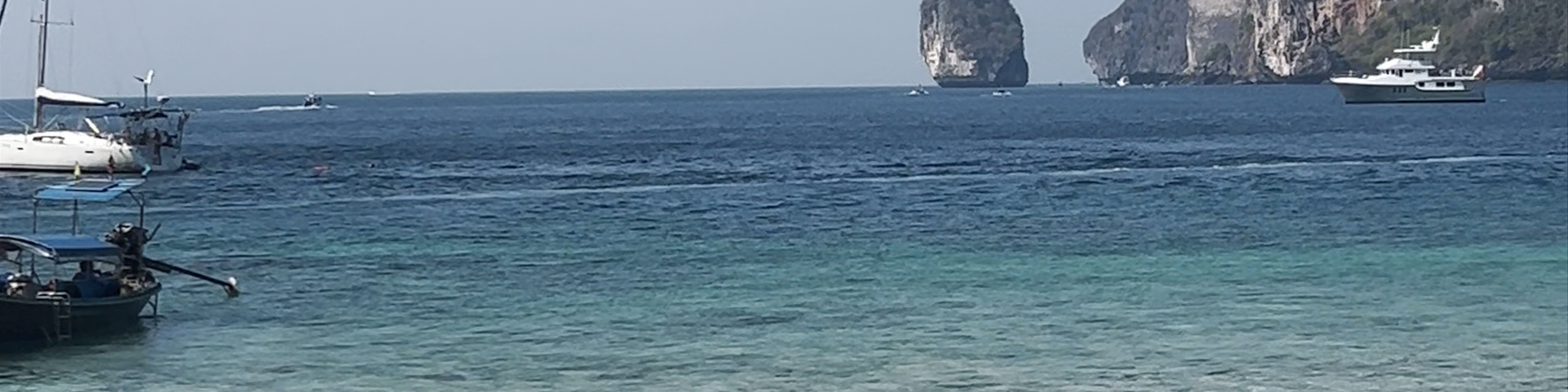 Monkey Beach