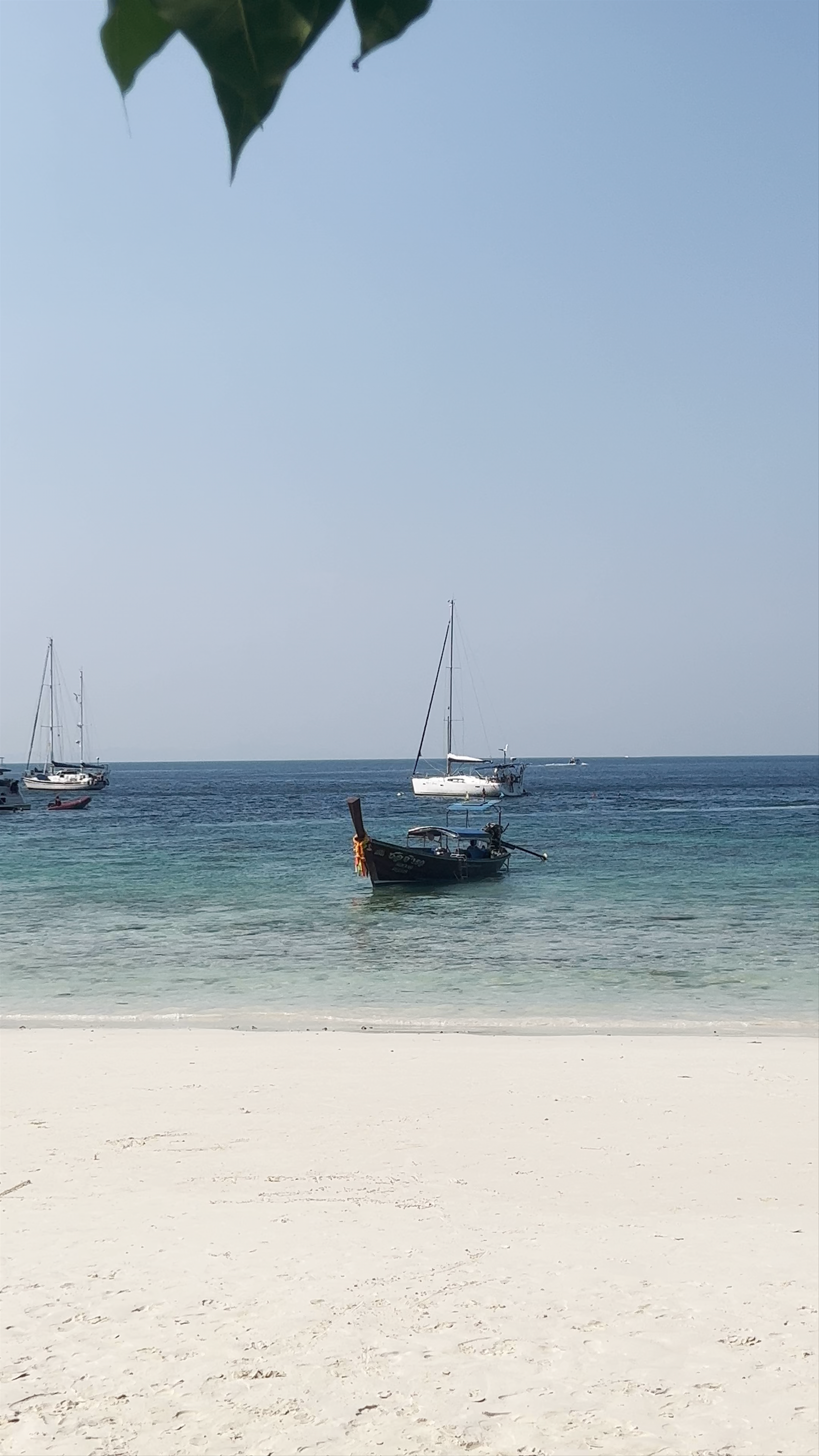 Monkey Beach: Serene Tropical Escape in Krabi, Thailand