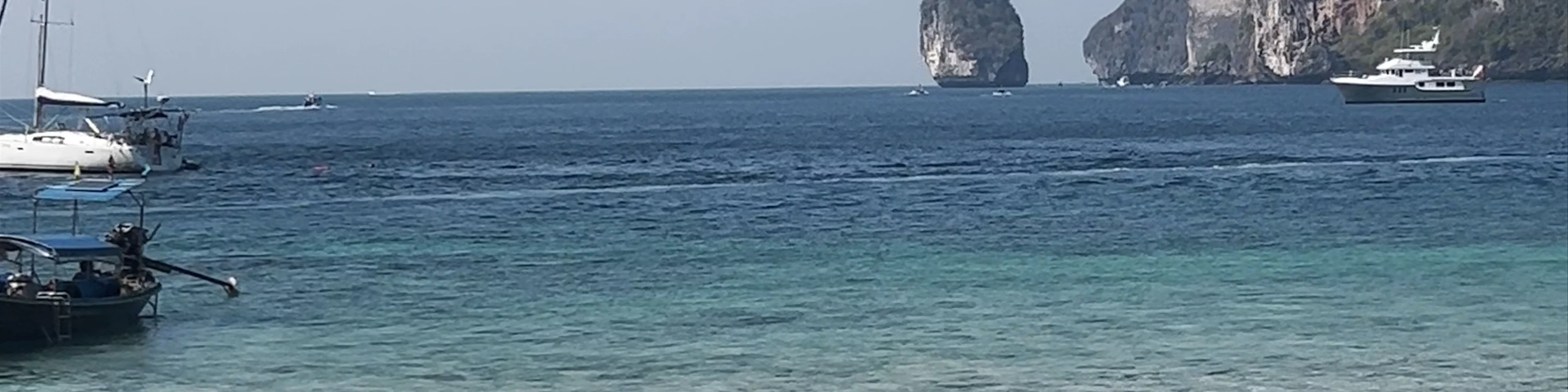 Monkey Beach
