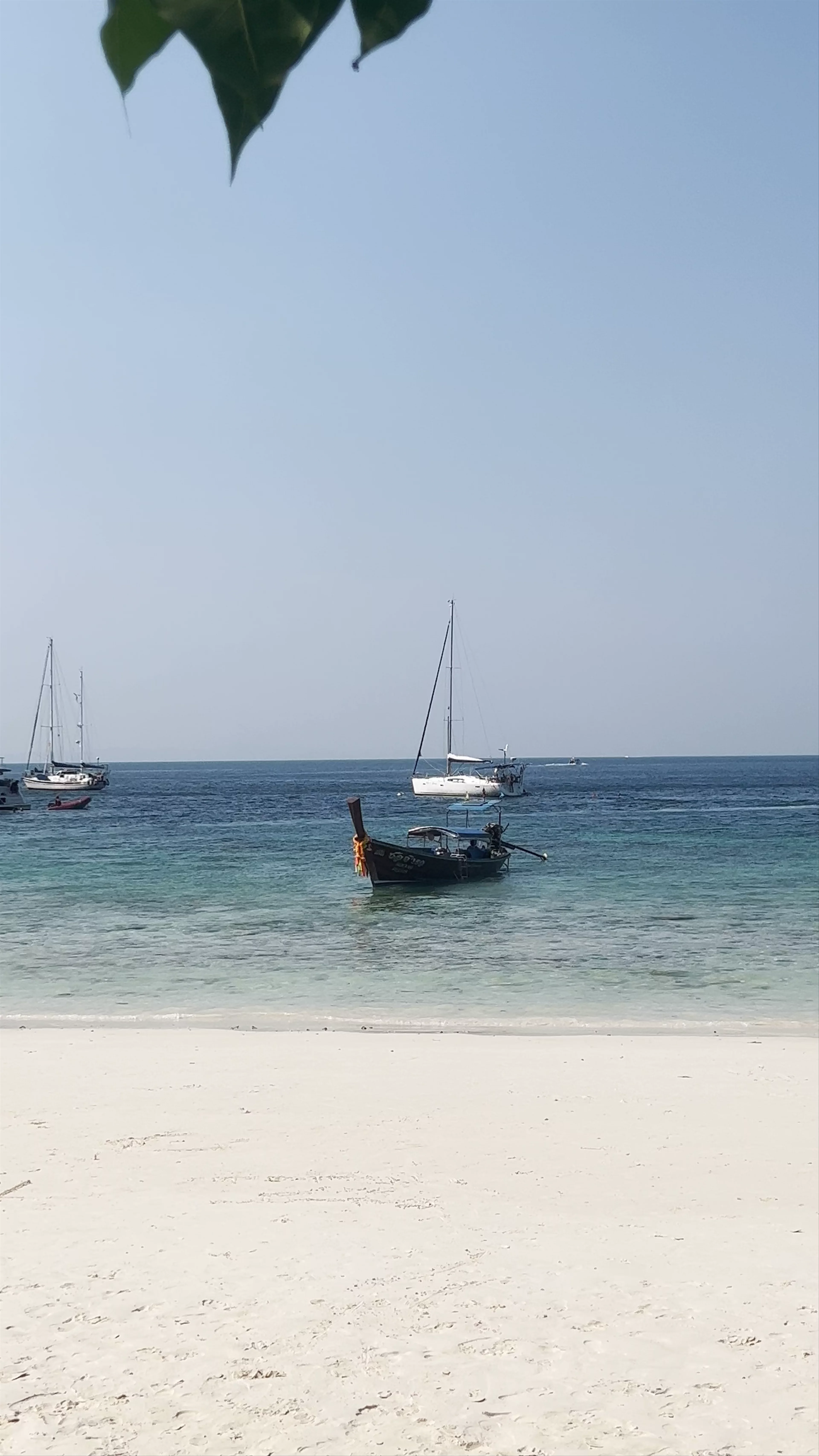 Monkey Beach