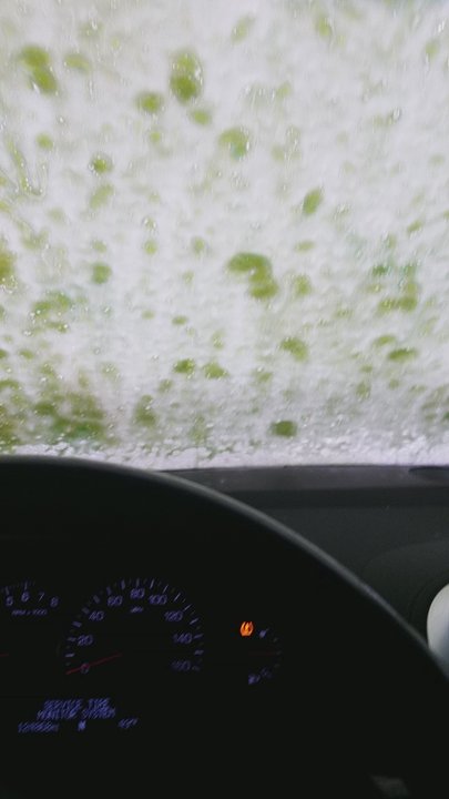 Take 5 Car Wash - super awesome - Car Wash Near Me - Arvada, Colorado