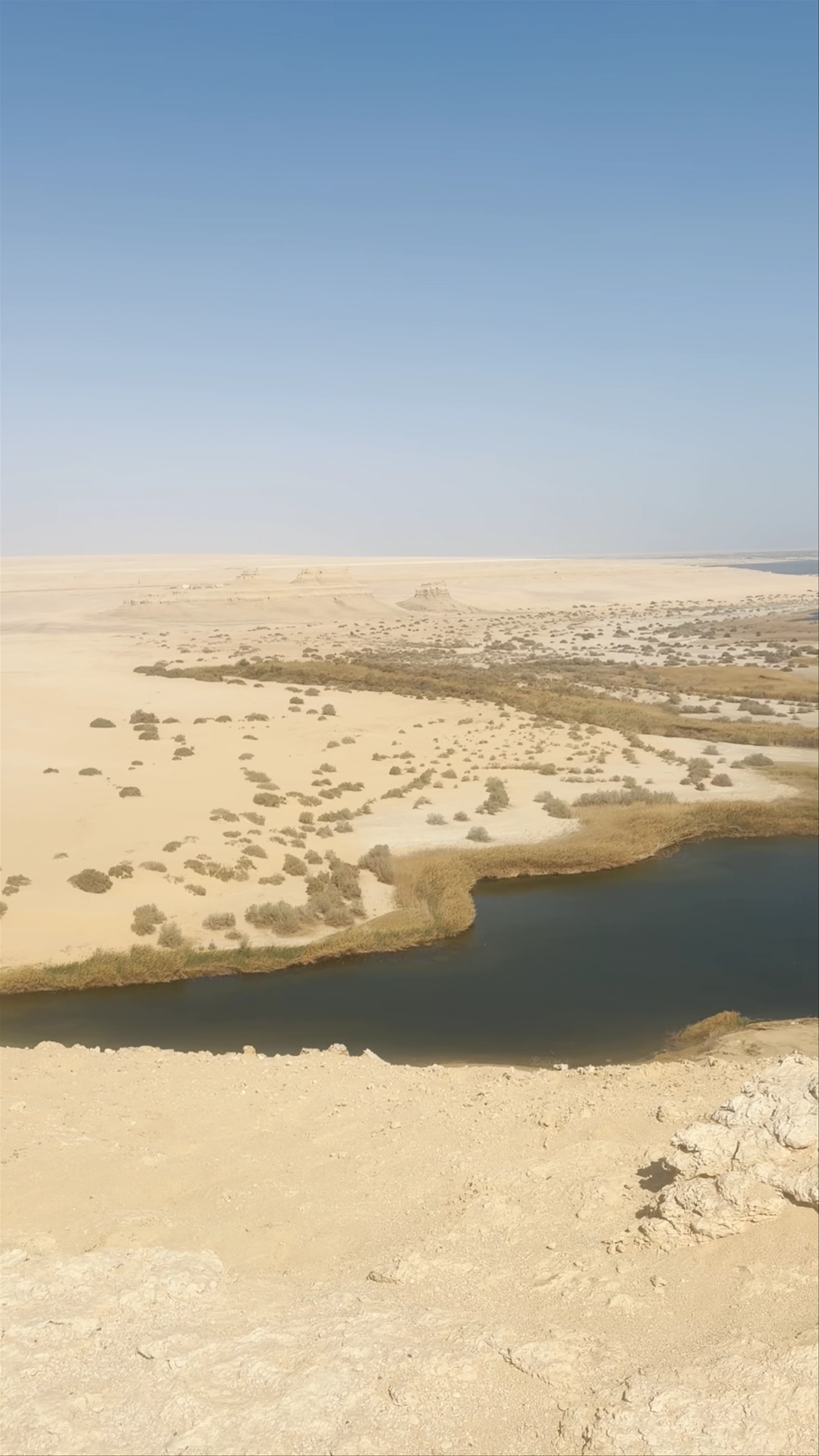 Yūsuf aṣ-Ṣiddīq