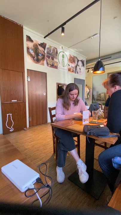 Cafe Katzentempel - Vegan Near Me - Nuremberg, BY
