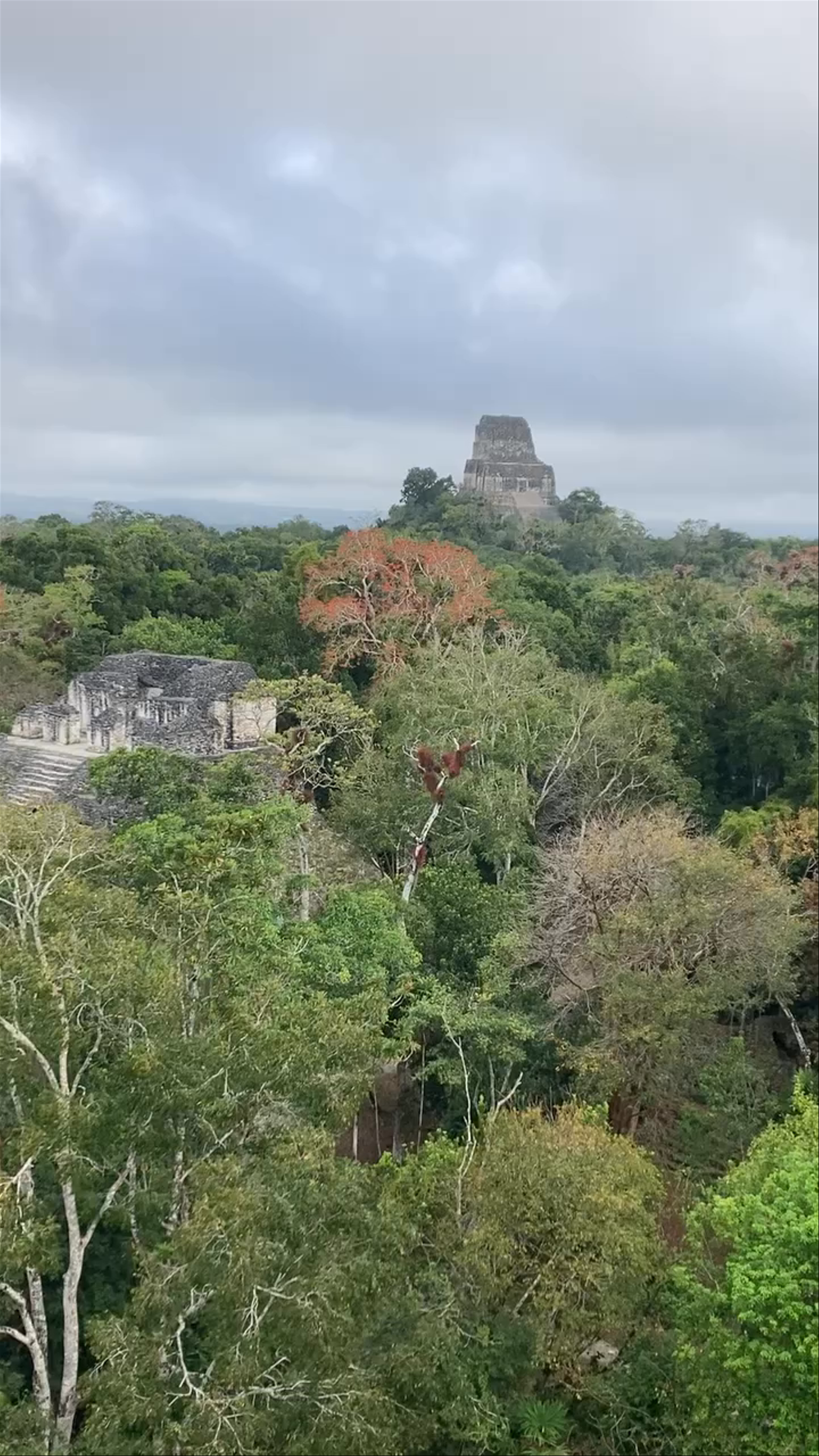 Mundo Perdido, Tikal: Ancient Ruins Emerging from the Guatemalan Jungle