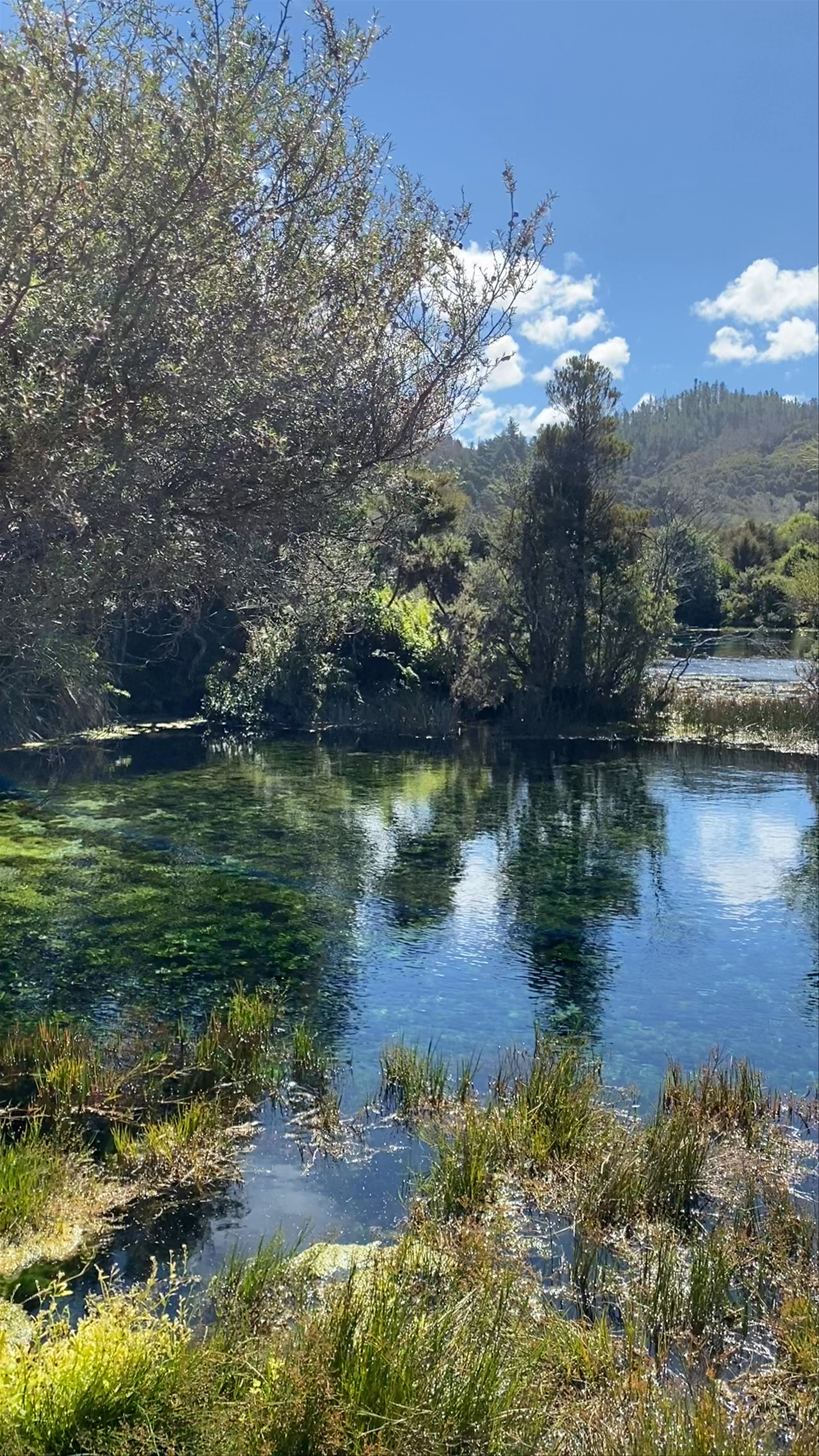 Te Waikoropupu Springs Pupu Springs Road