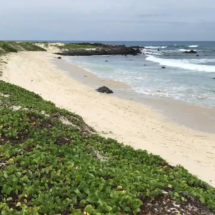 Makalawena Beach - Quiet, peaceful and serene - Beaches Near Me - Kalaoa, Hawaii
