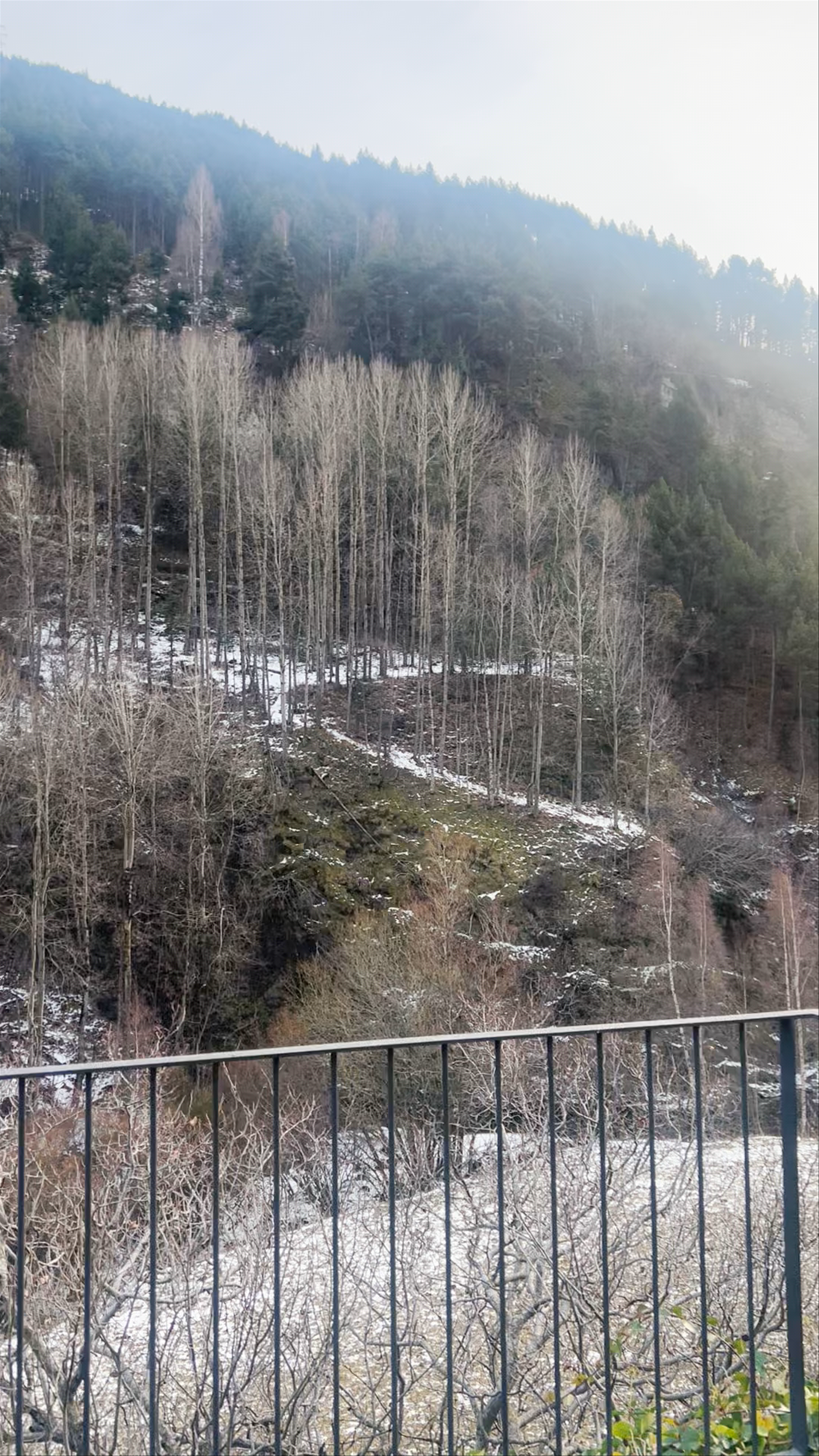 Sant Joan de Caselles