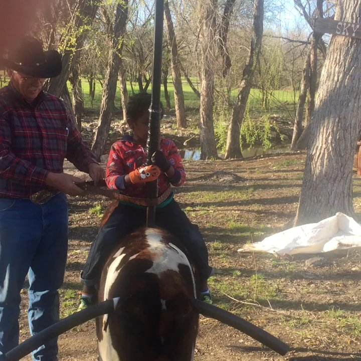 Rodeo Zone Mini Ranch - Curtis liked the sky bull! - Party & Event Planning Near Me - Fort Worth, Texas