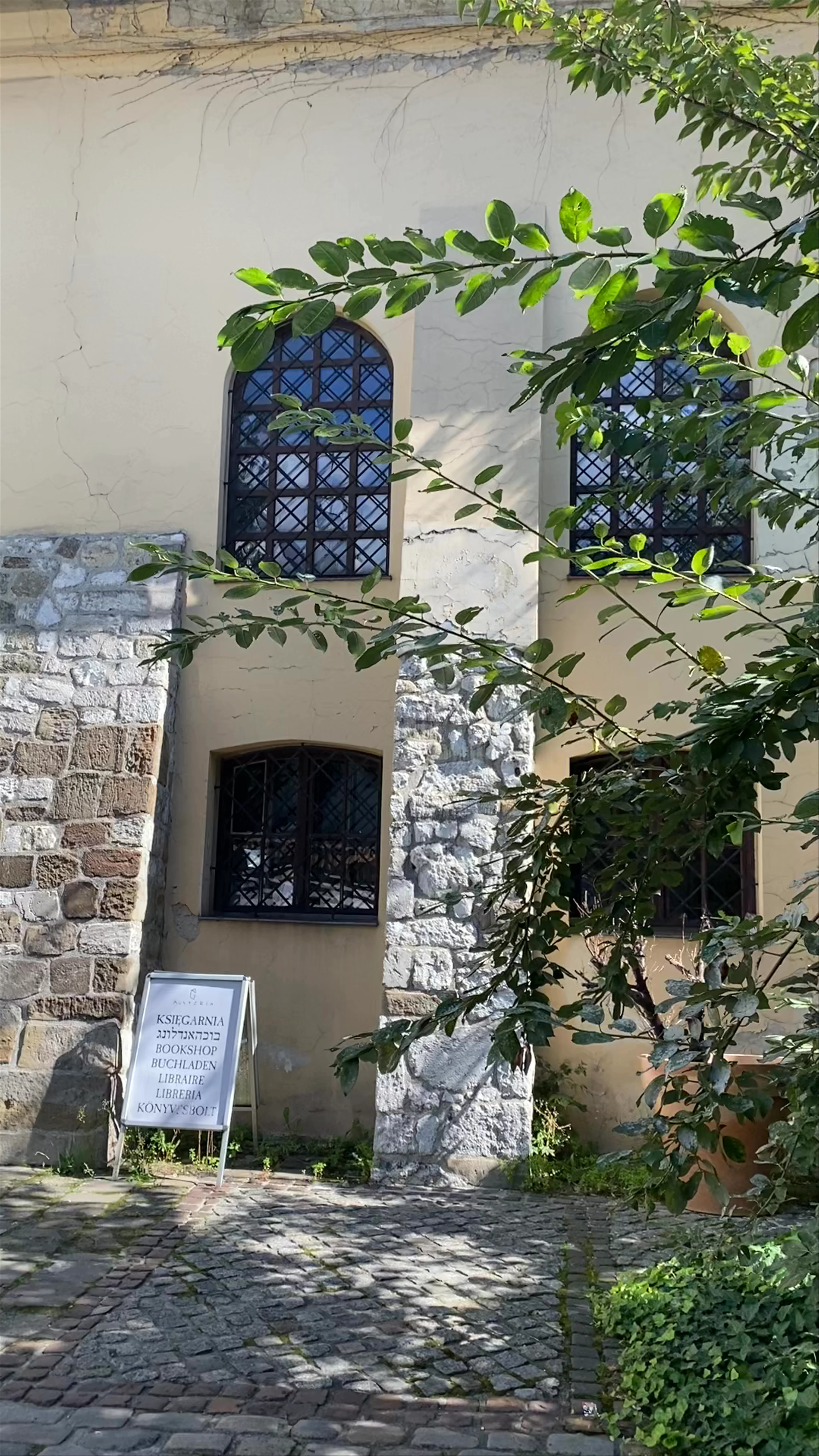 Żonglerka.pl, Starowiślna, Kraków
