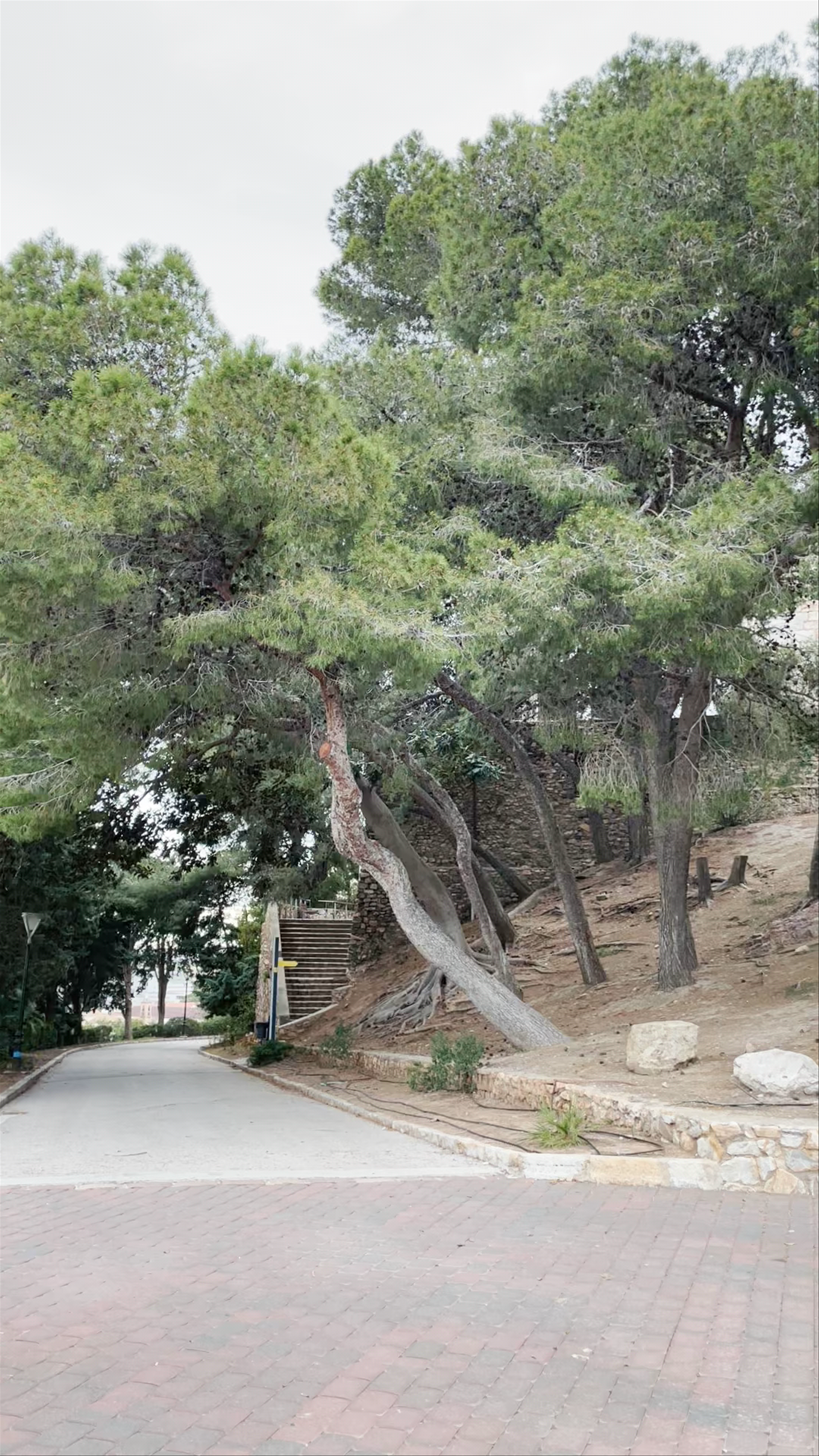 Parque Torres