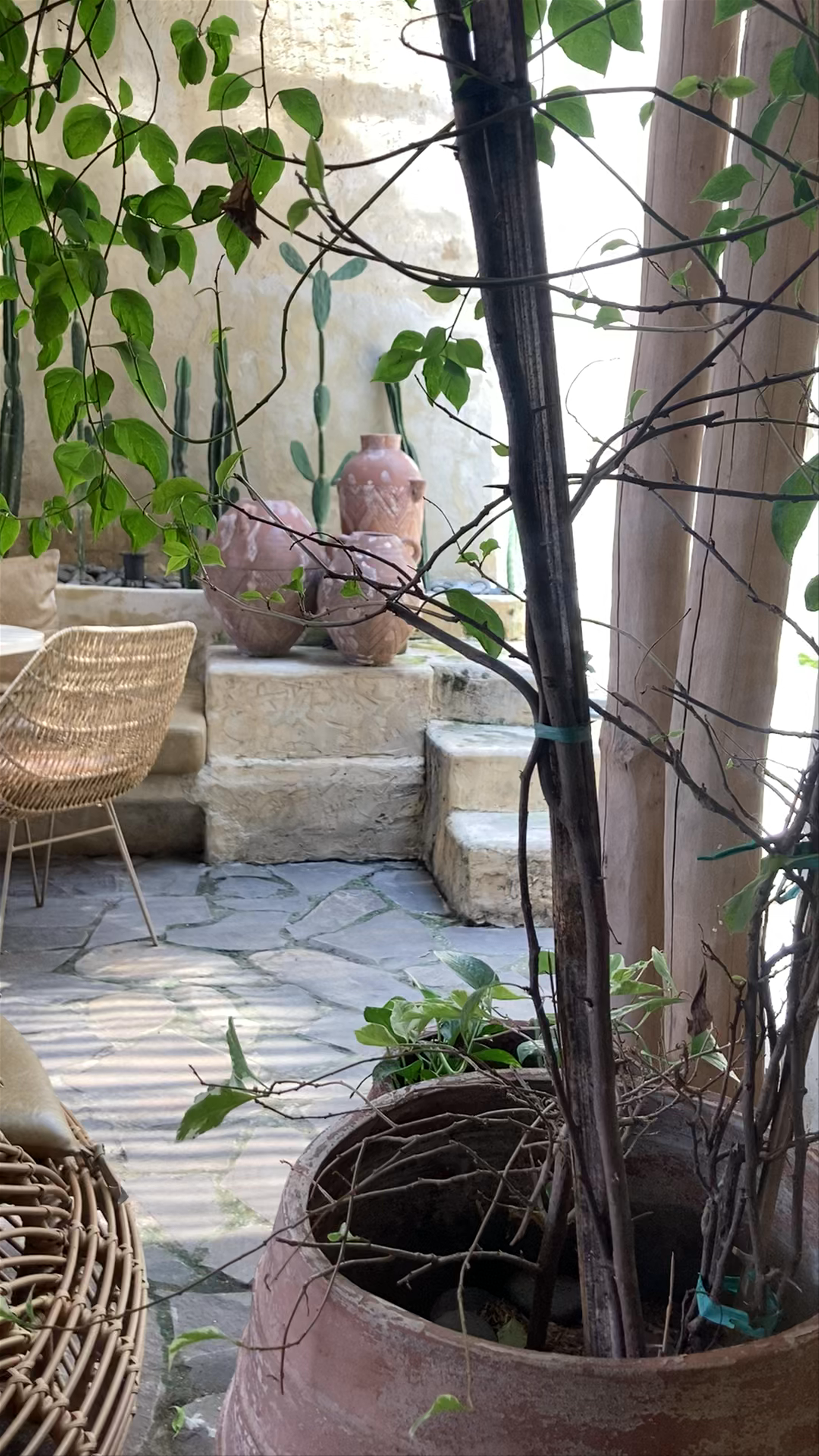 Bread Basket Bakery: Rustic Calm in Canggu, Bali