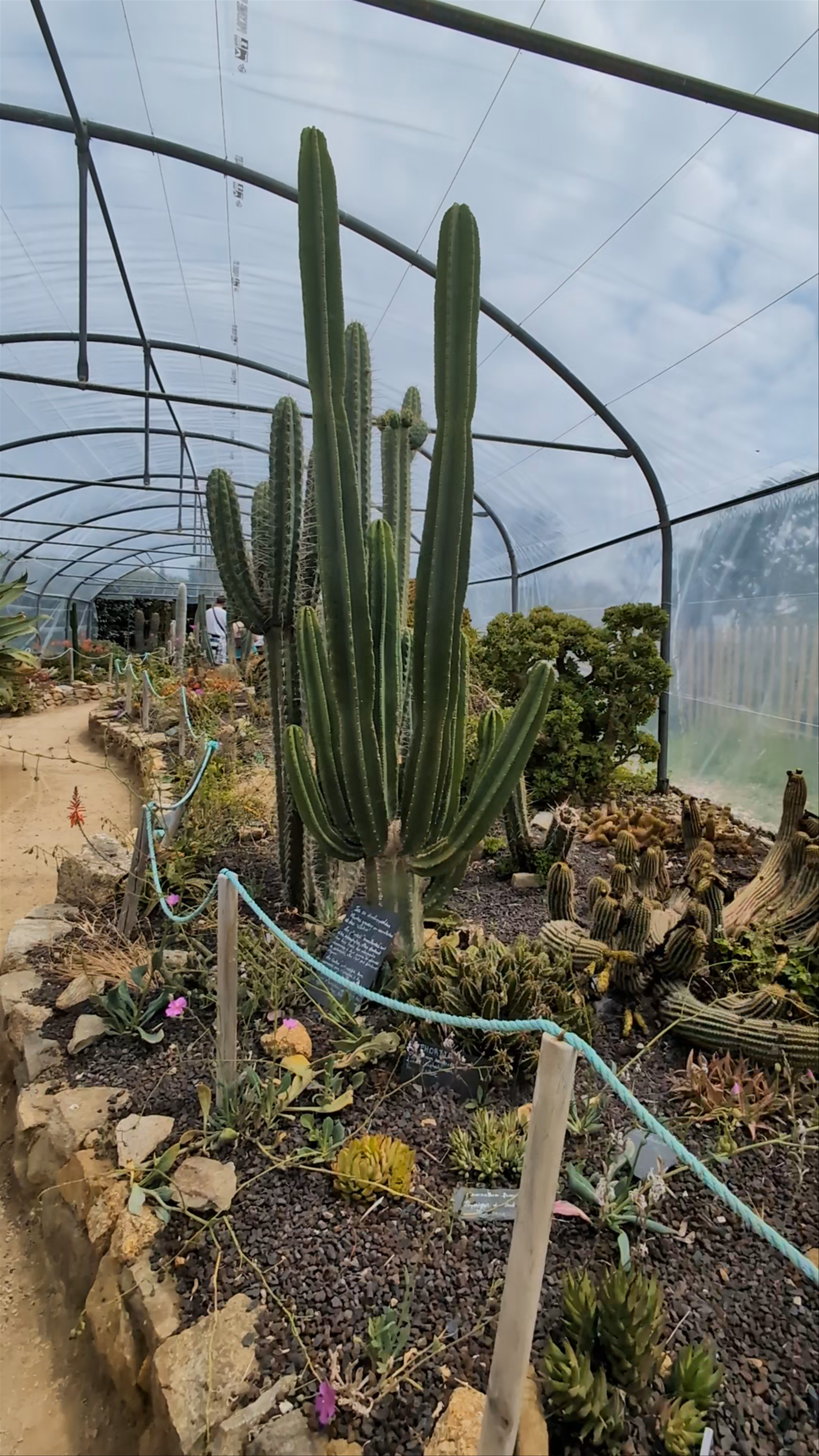 The Exotic Garden of Roscoff