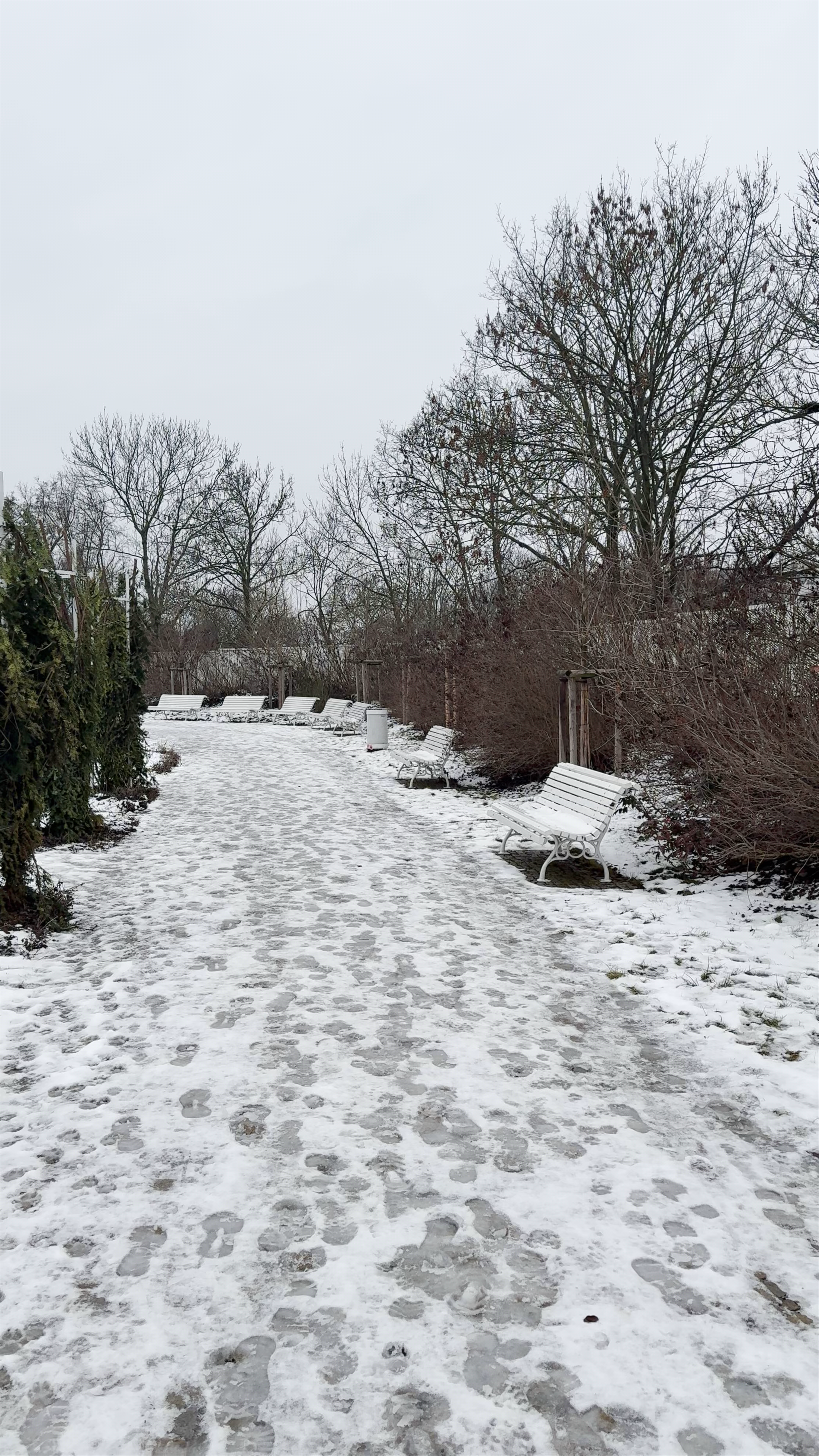 Růžový sad Petřín